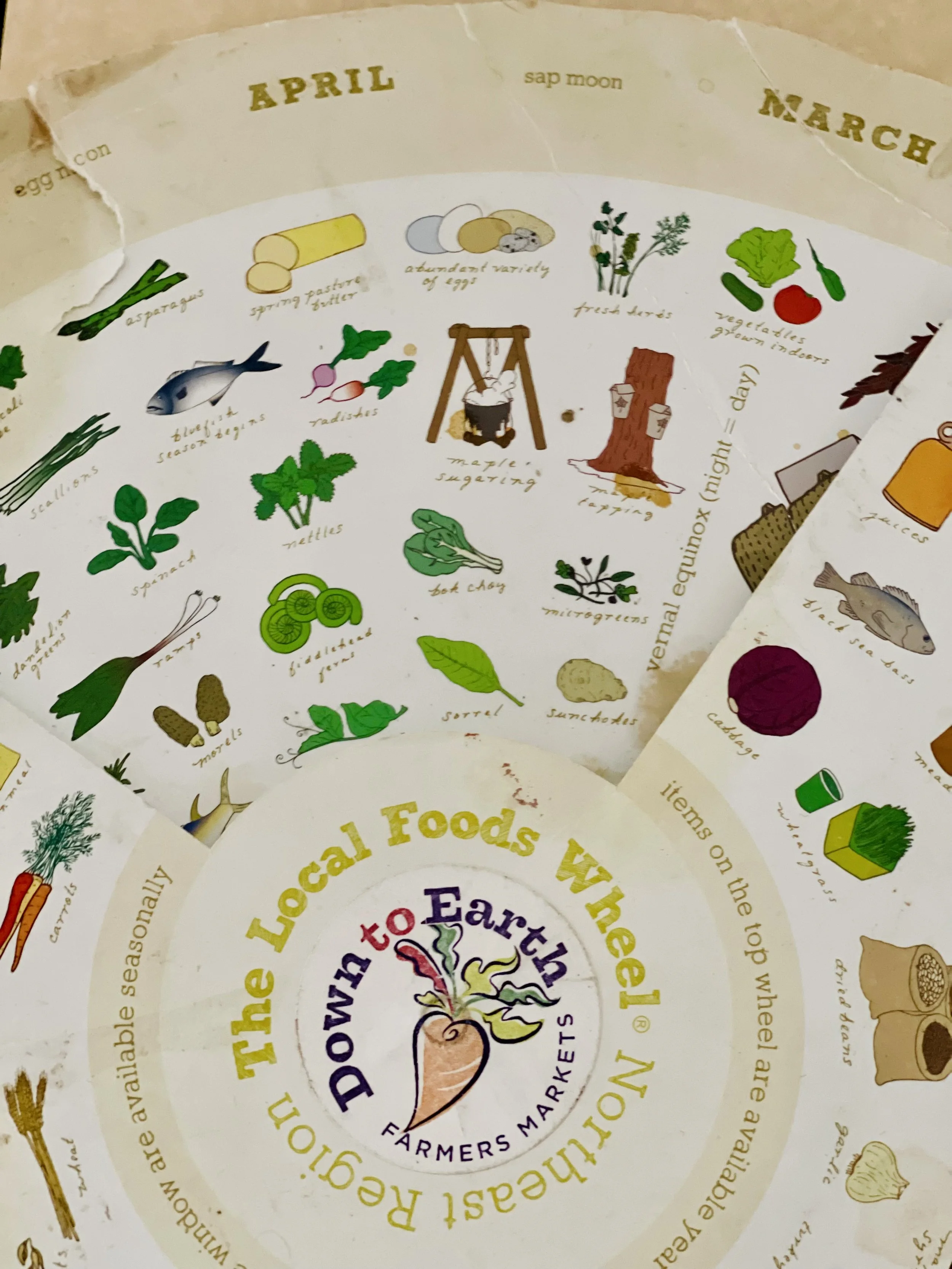 SPring Season Wheel_March April IMG_5578 2.jpeg