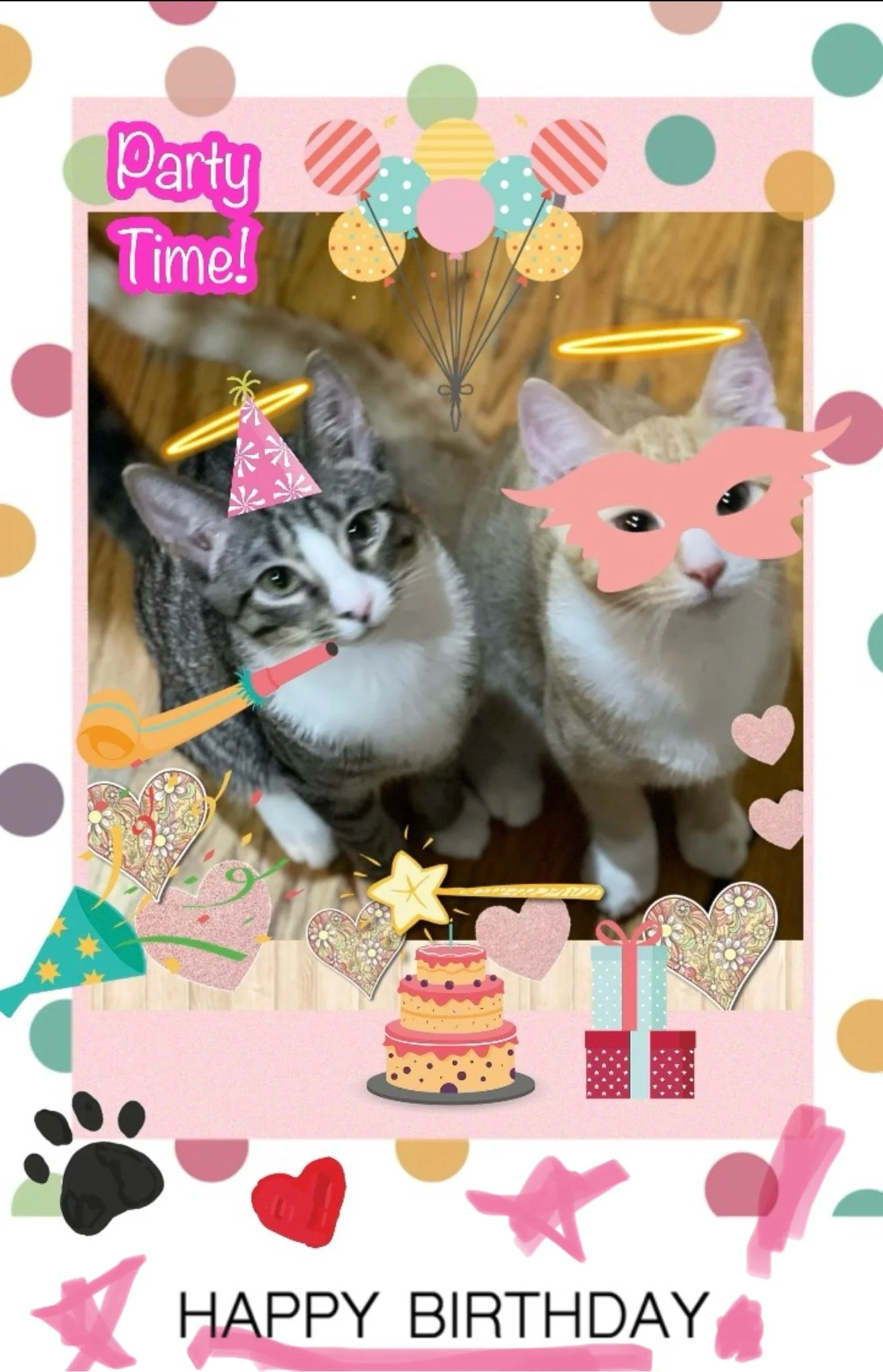 HAPPY BIRTHDAY FROM SARABI & SIMBA IMG_8791.jpg