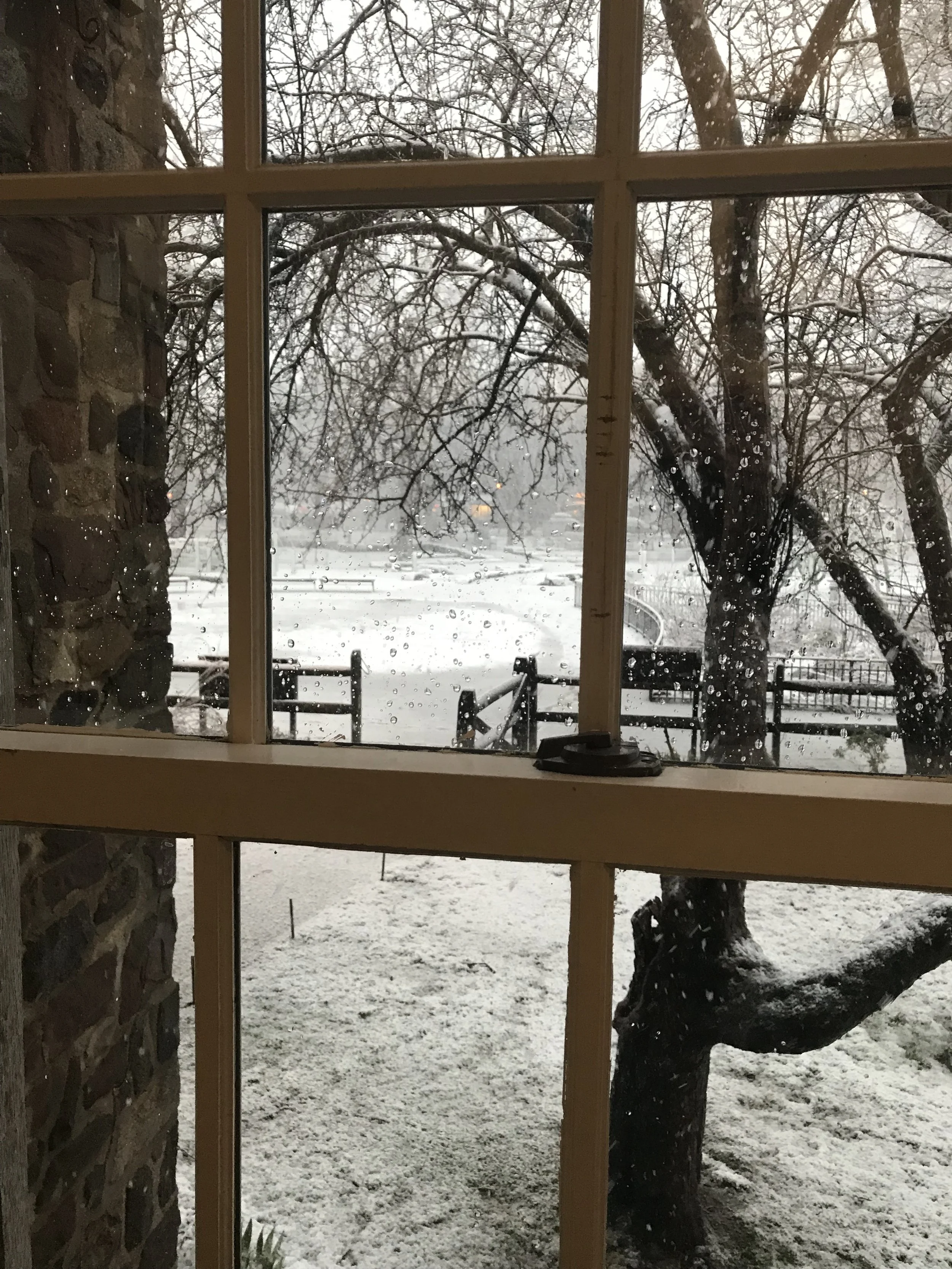 OSH inside during snow blizzard IMG_0085.jpeg
