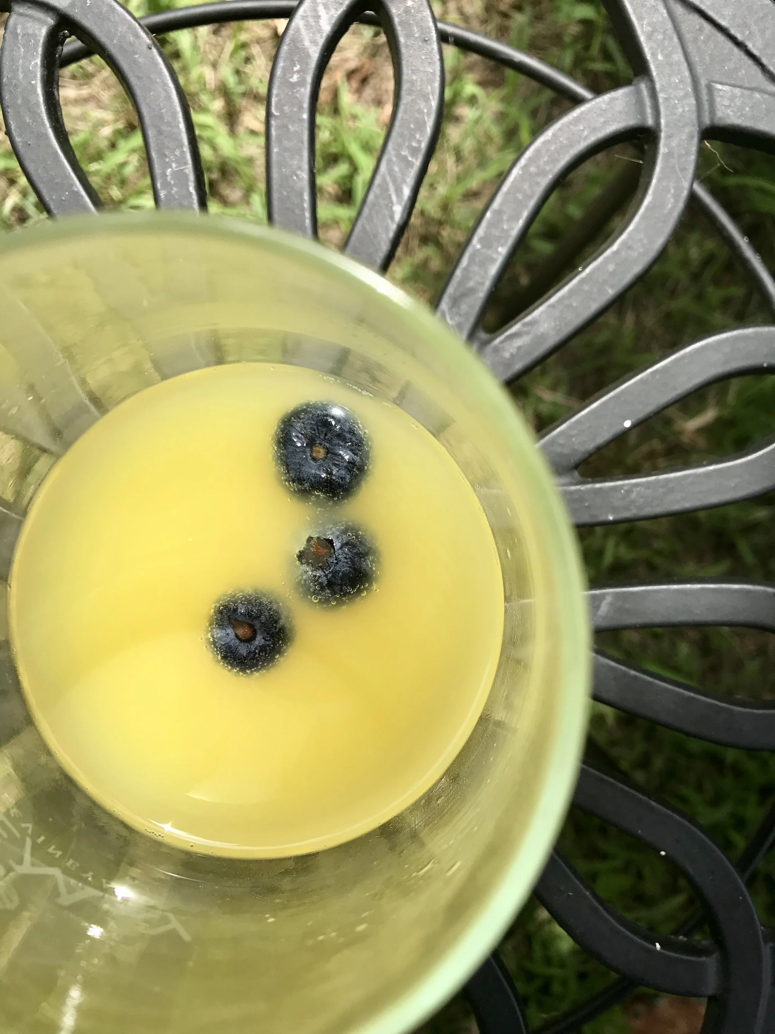BERRIES _ blueberries floating in a cocktail IMG_6364.jpg