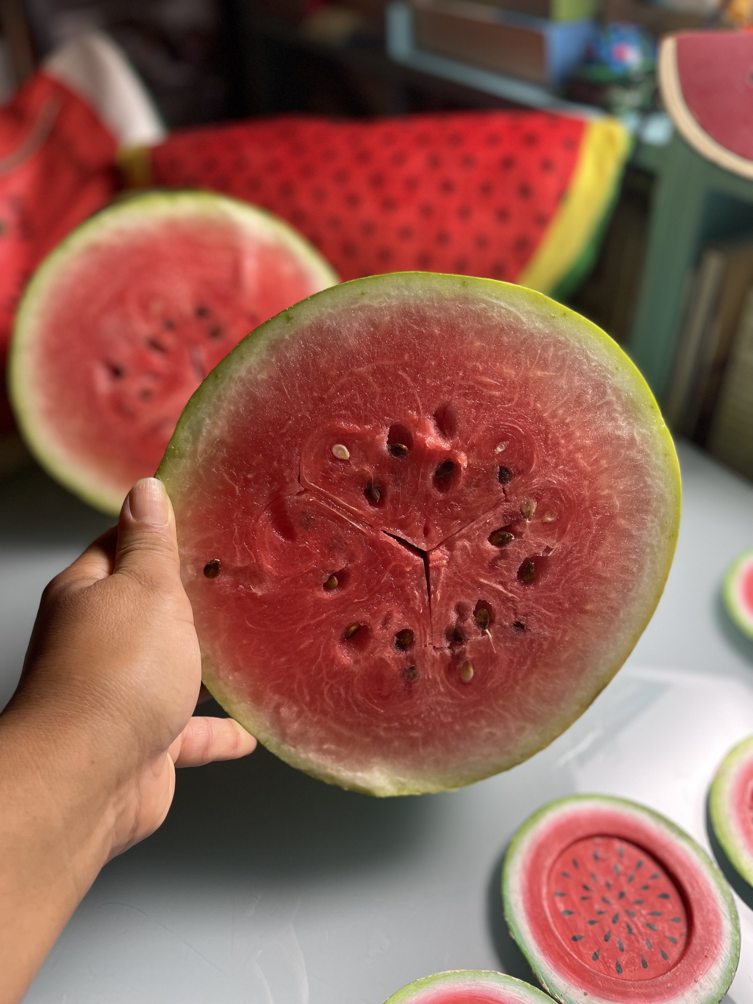 Watermelon_for reclaiming 🍉summer picnic at Lefferts Historic HouseIMG_1314.jpeg