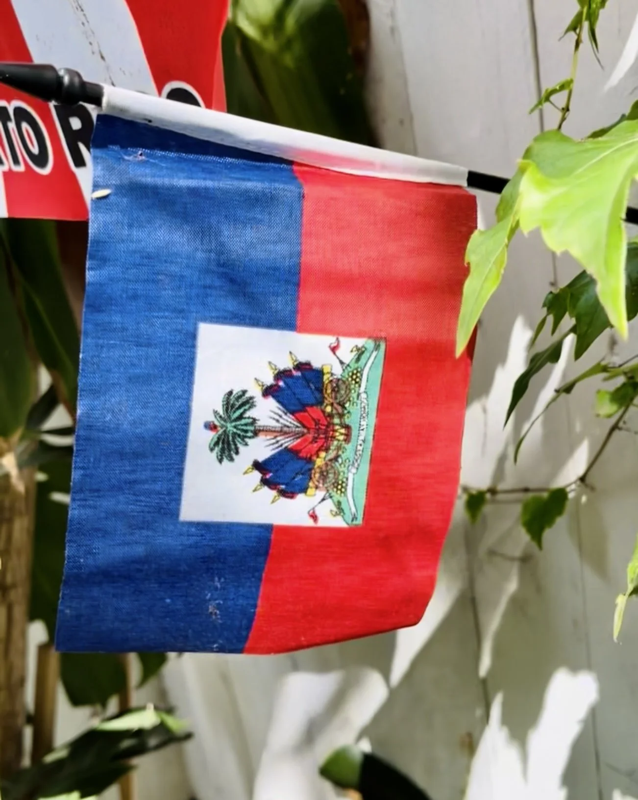 Caribbean West Indian Flag_HaitiIMG_2205.jpg