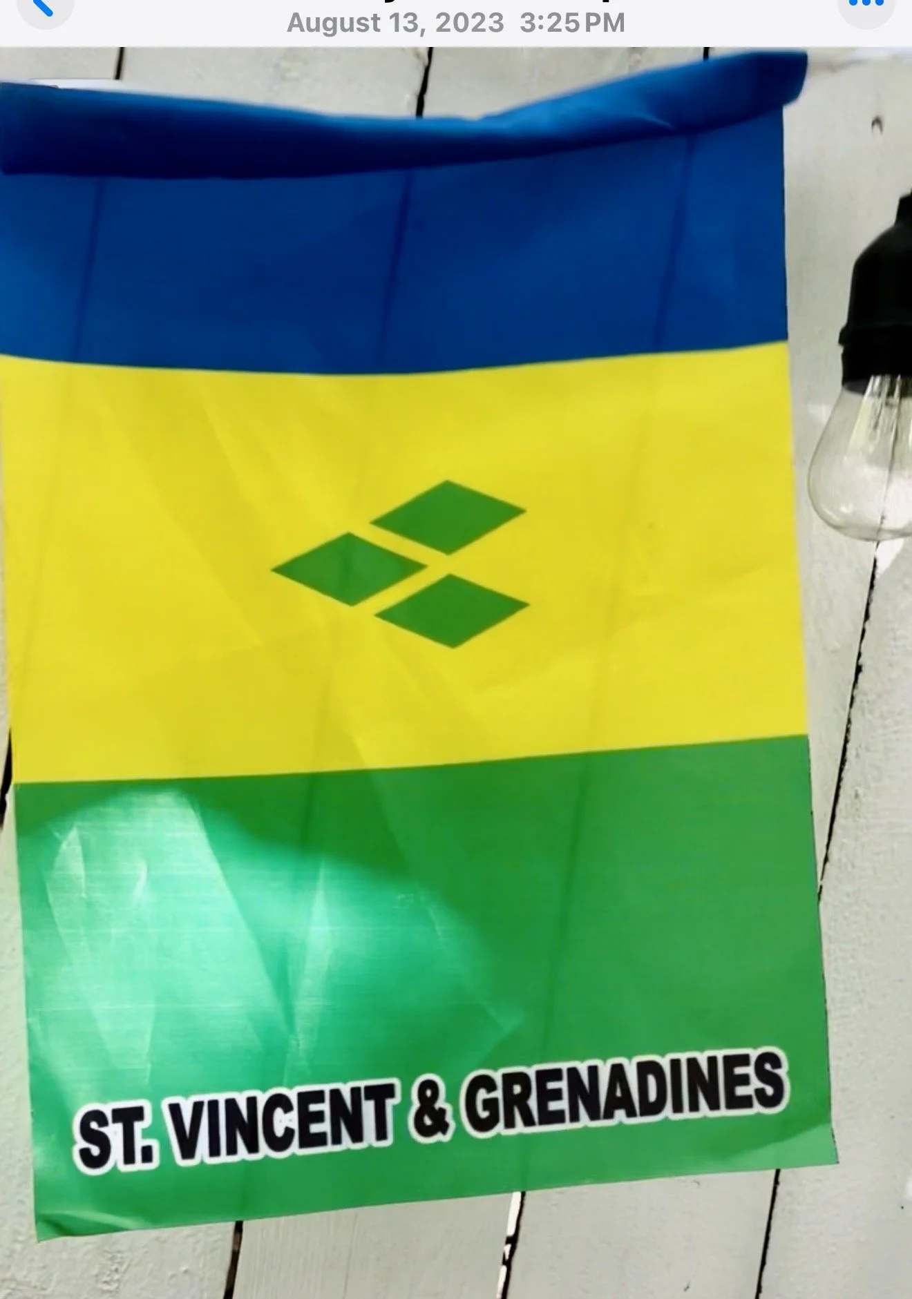 Caribbean West Indian Flag_IMG_2200.jpg