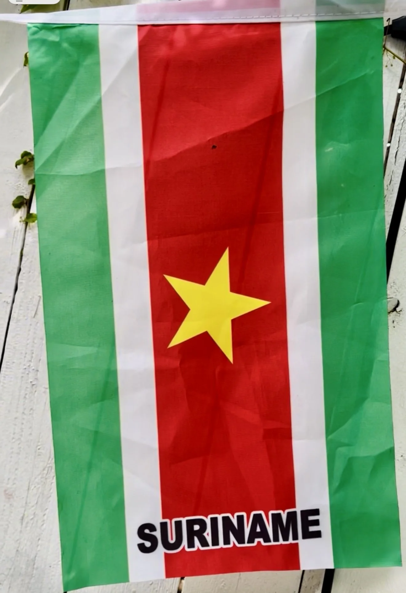 Caribbean West Indian Flag_IMG_2203.jpg