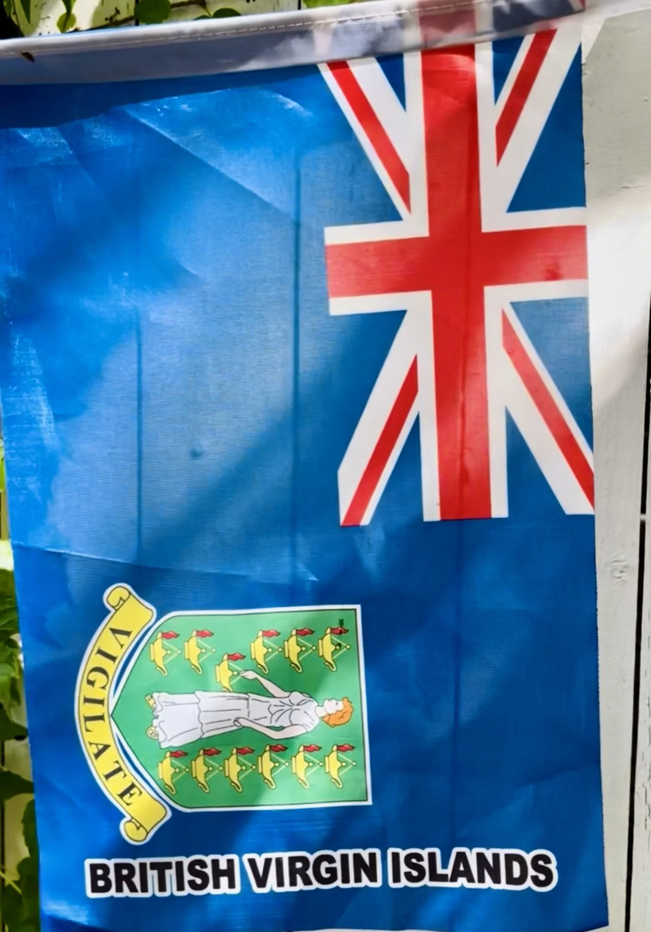 Caribbean West Indian Flag_IMG_2204.jpg