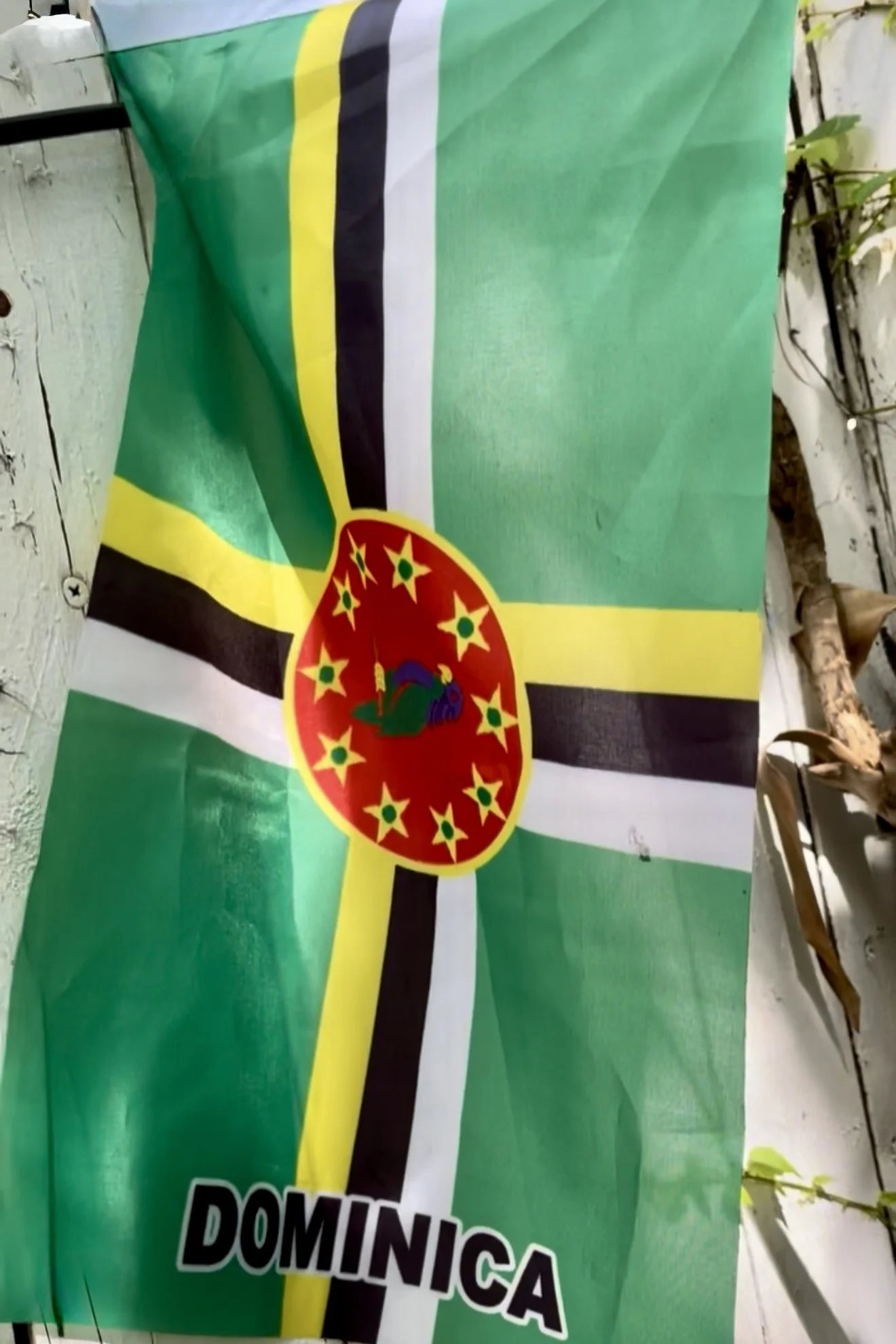 Caribbean West Indian Flag_IMG_2208.jpg