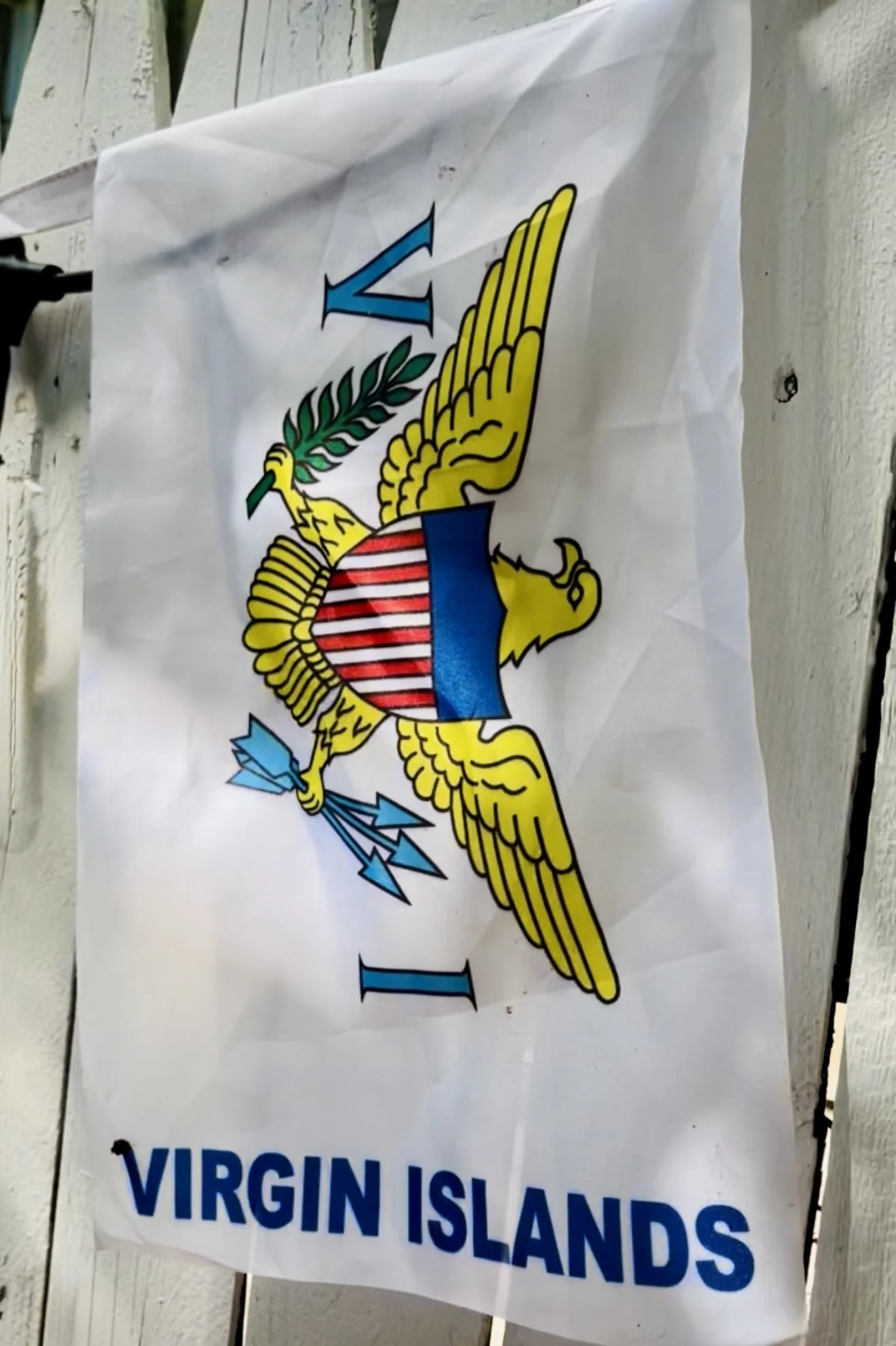 Caribbean West Indian Flag_IMG_2216.jpg
