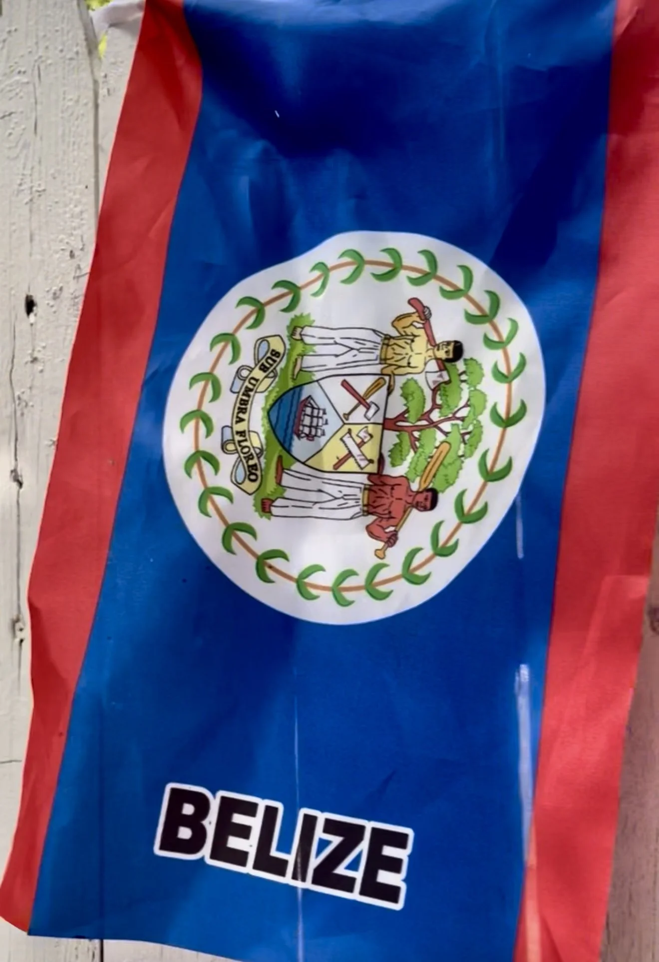 Caribbean West Indian Flag_IMG_2215.jpg
