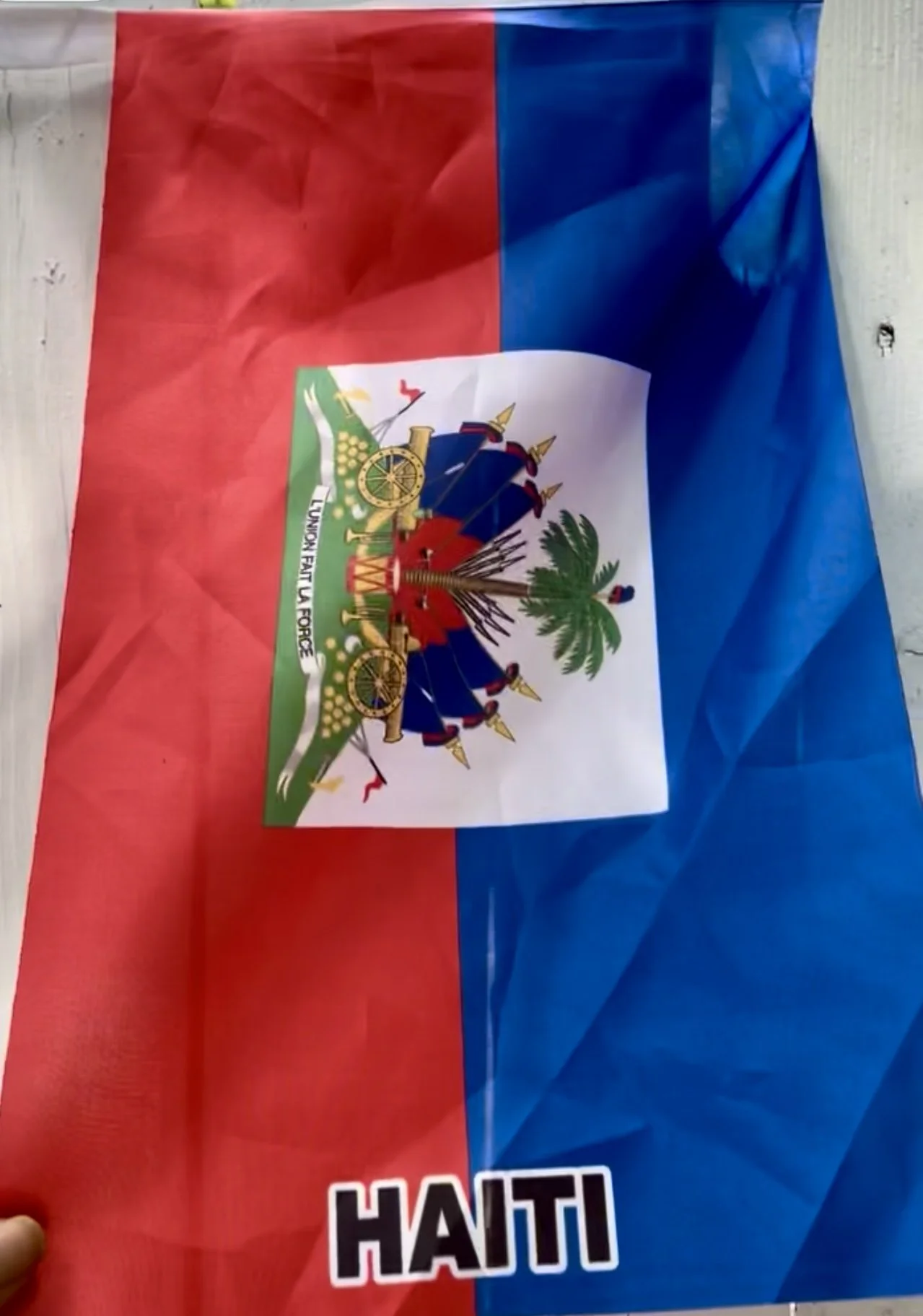 Caribbean West Indian Flag_IMG_2213.jpg