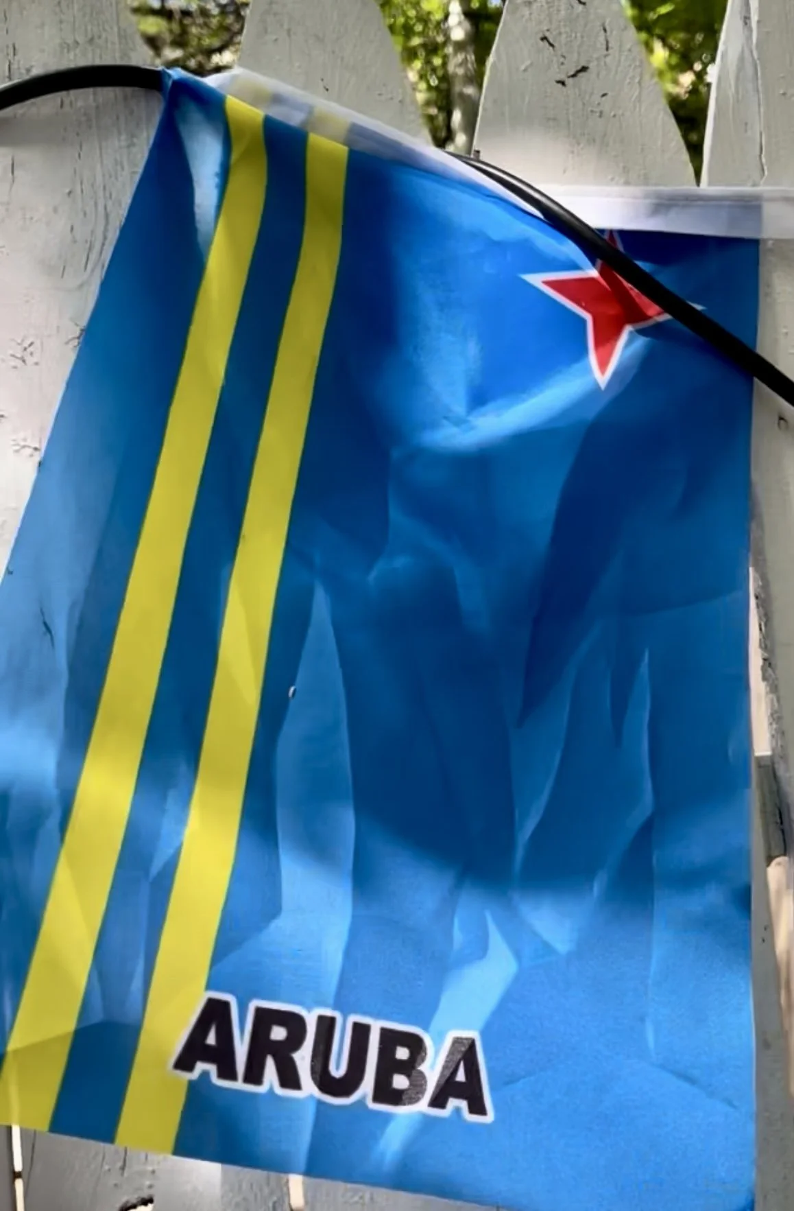 Caribbean West Indian Flag_IMG_2212.jpg