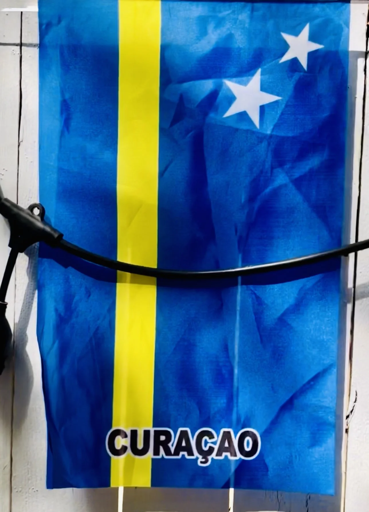 Caribbean West Indian Flag_IMG_2219.jpg