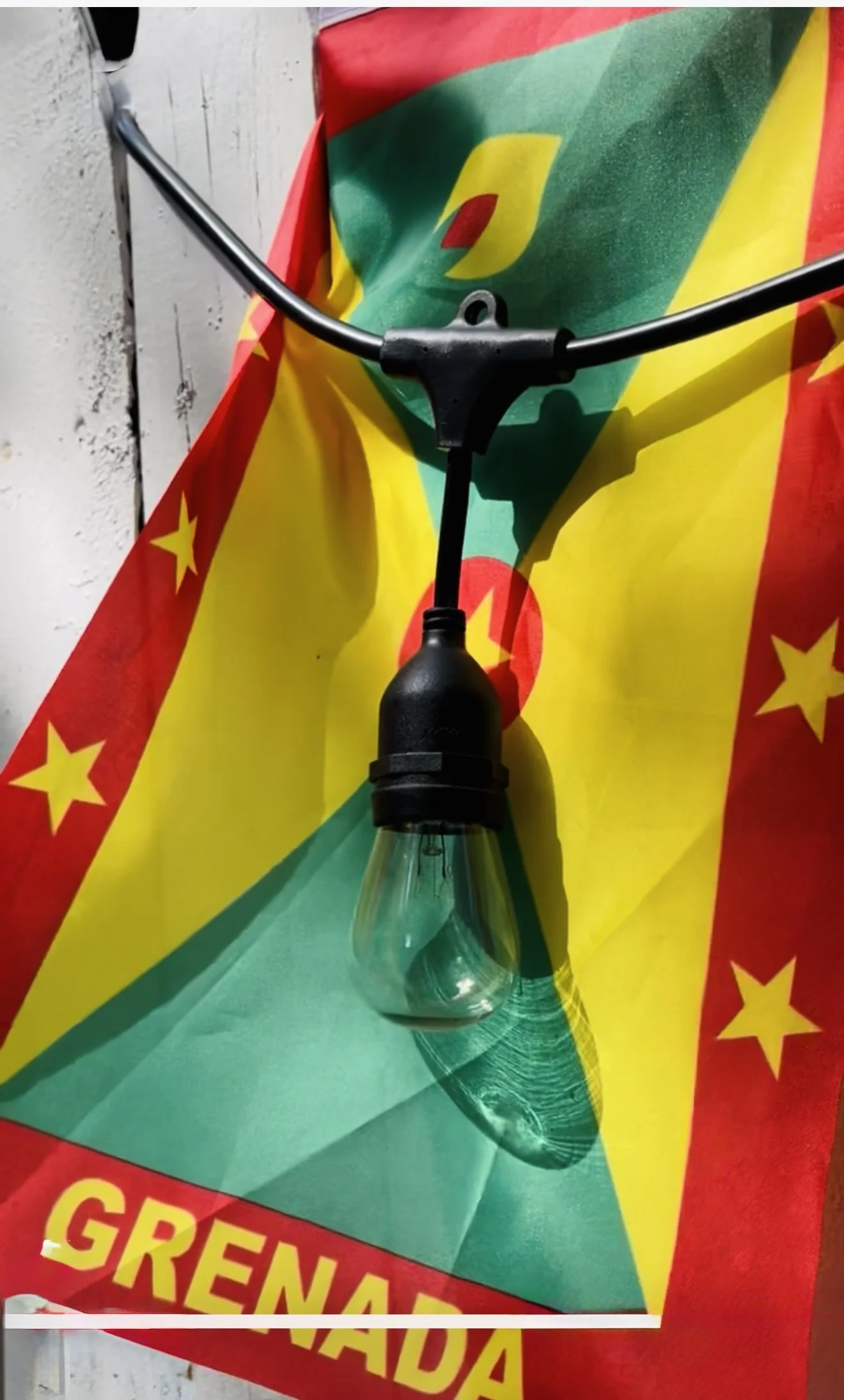 Caribbean West Indian Flag_IMG_2221.jpg