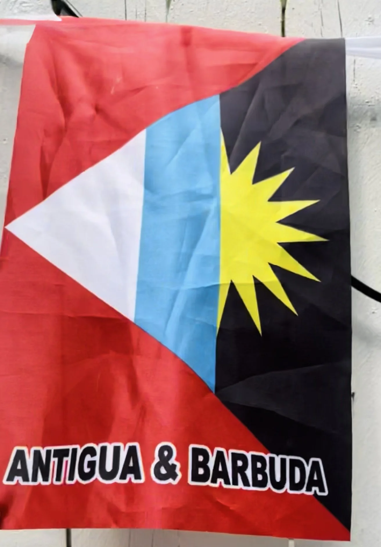 Caribbean West Indian Flag_IMG_2229.jpg