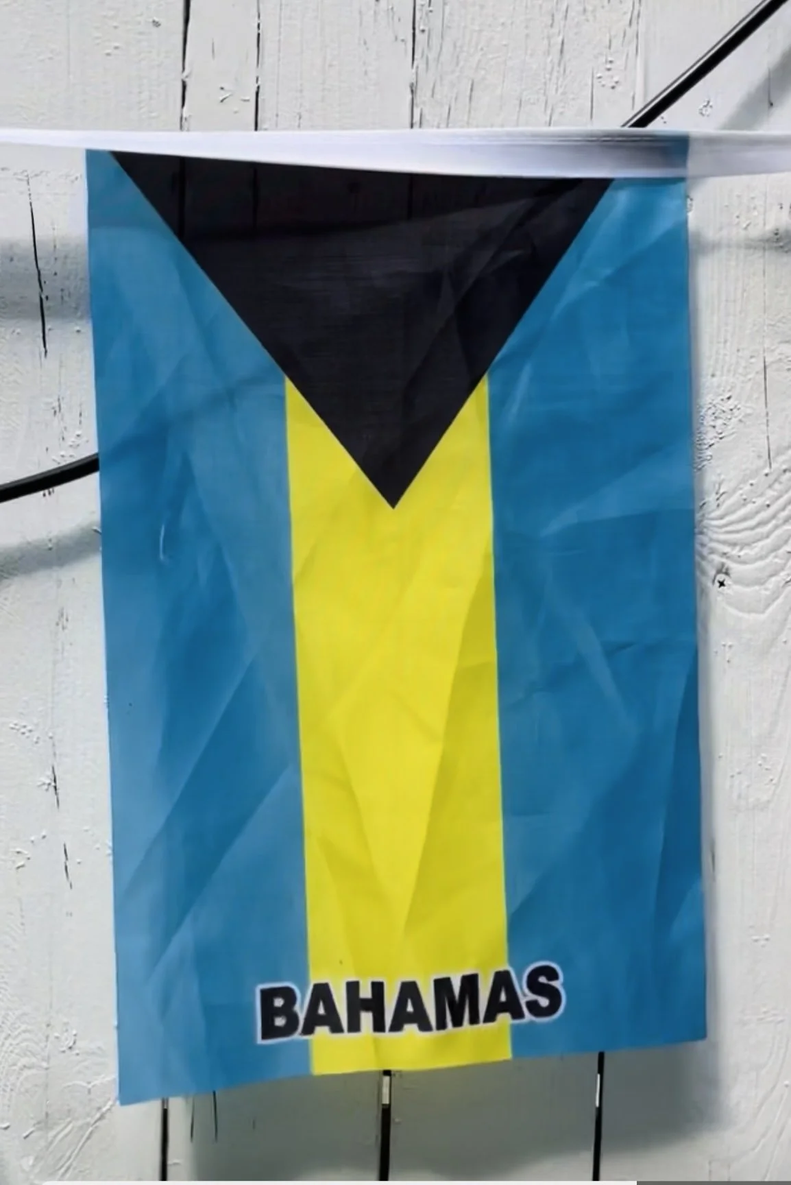 Caribbean West Indian Flag_IMG_2226.jpg