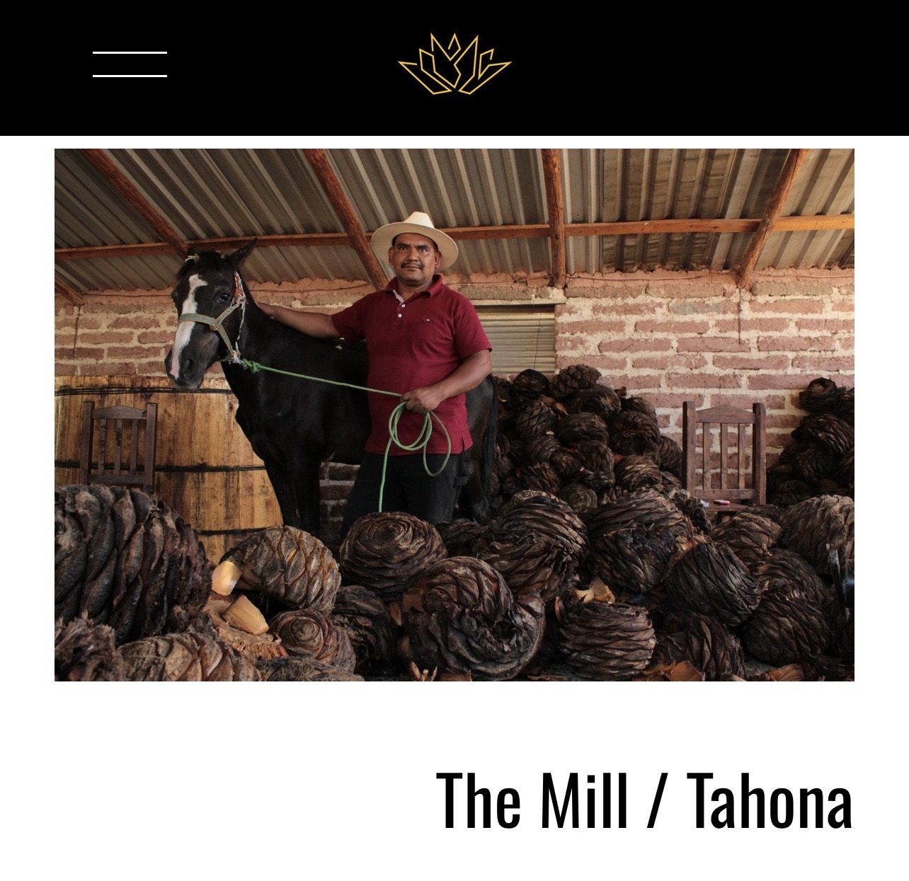 ELÉCTRICO in Oaxaca _The Mill : Tahona IMG_5713.jpeg