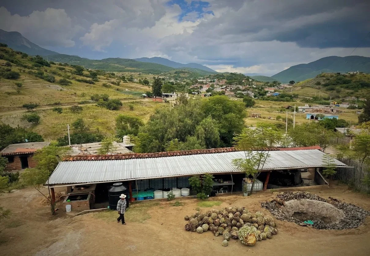 ELÉCTRICO press pic_PALENQUE San Balthazar building IMG_4966.jpeg