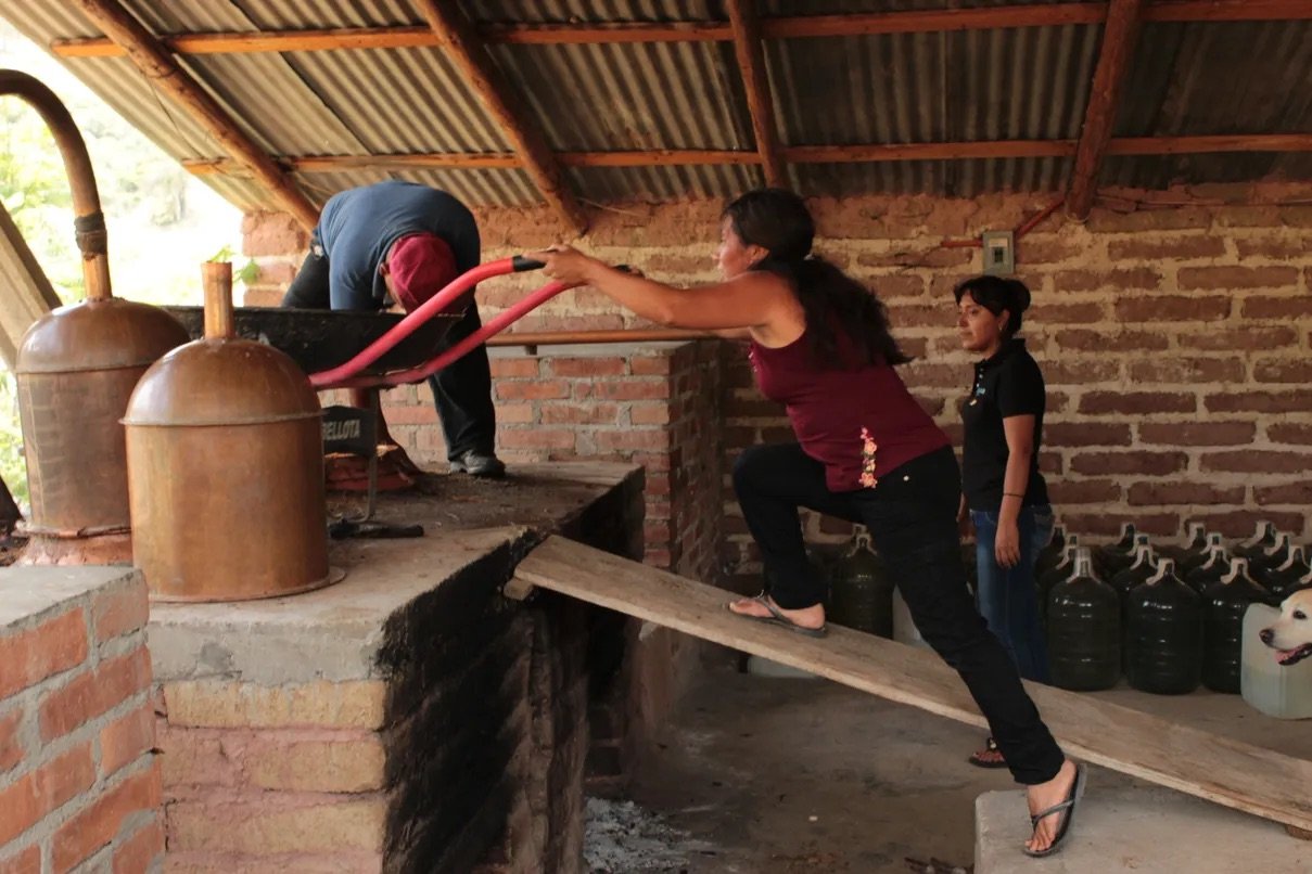 ELÉCTRICO press pic_WOMEN making mezcal Oaxaca IMG_4972.jpeg