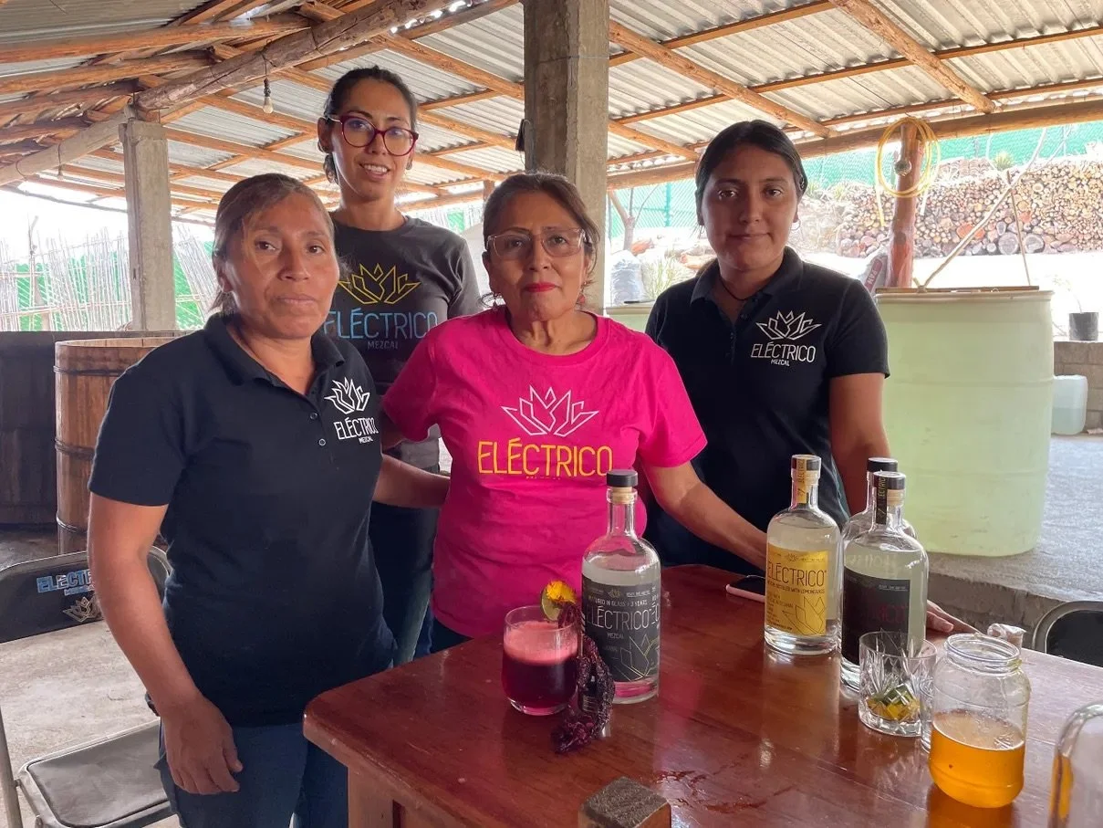 ELÉCTRICO press pic_WOMEN of Oaxaca _ IMG_4969.jpeg
