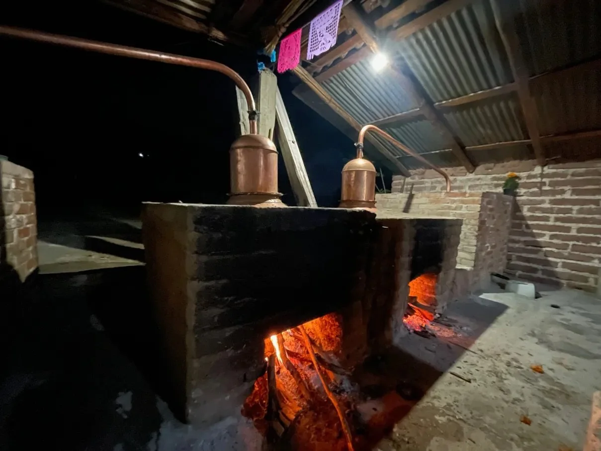 ELÉTRICO_making mezcal at night in Oaxaca IMG_5711.jpeg