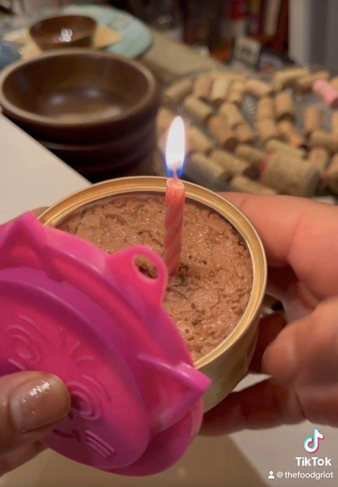 Simba n Sarabi's candle lit bday cat food can IMG_3109.jpg