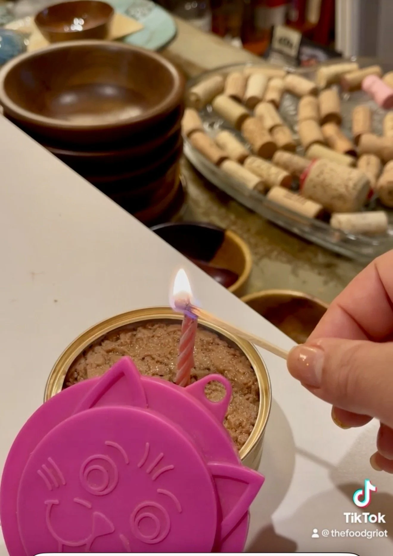 Simba n Sarabi's candle lit bday cat food can IMG_3105.jpg