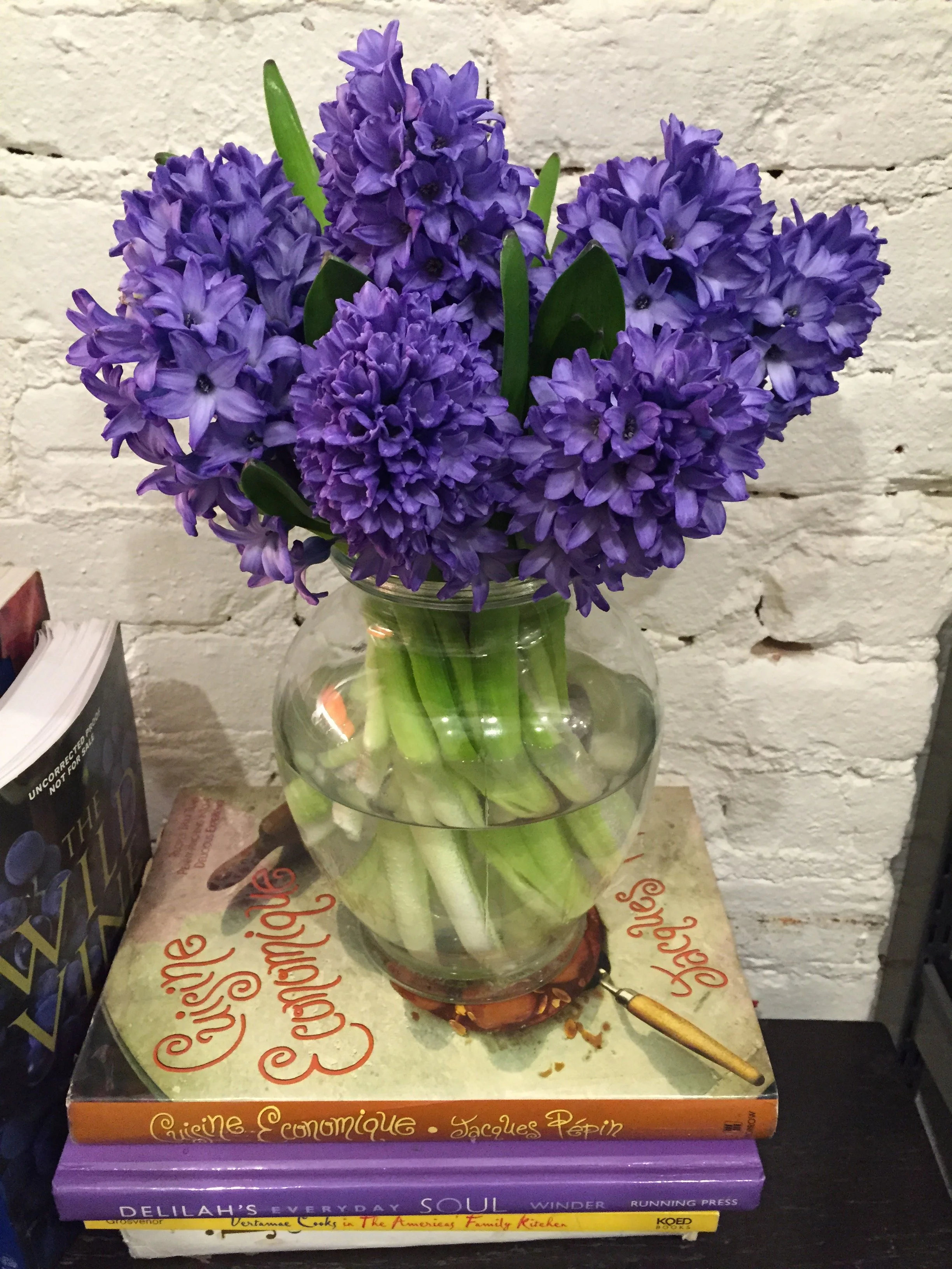 EASTER purple flowers at GW IMG_9925.JPG