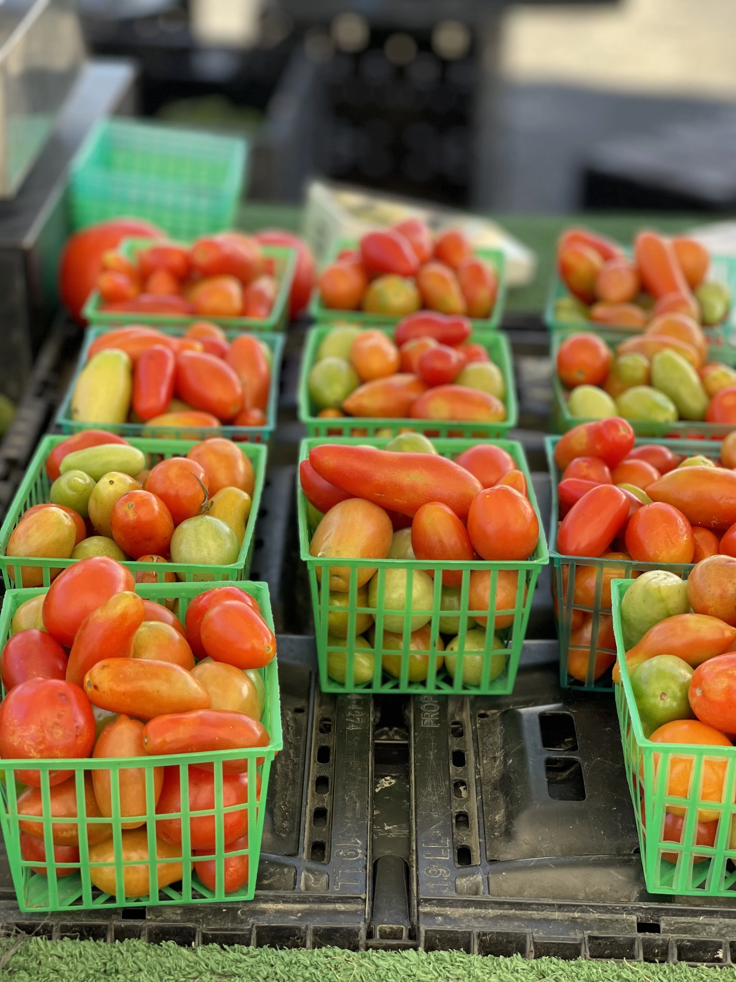 TOMATOES_multicolored IMG_6988.jpeg