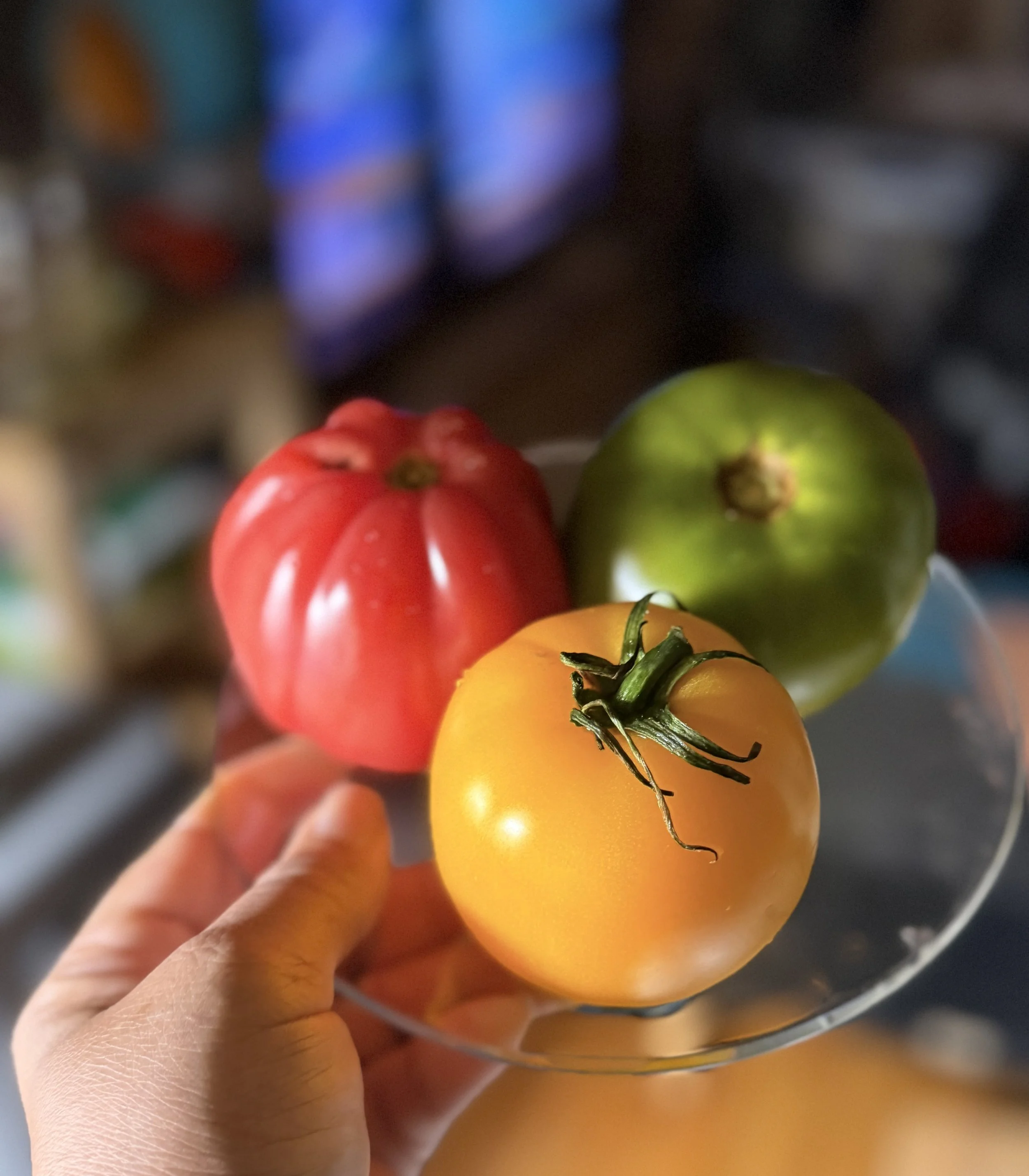 TOMATOES_3 multicolored red yellow green glass plate IMG_2321.jpeg