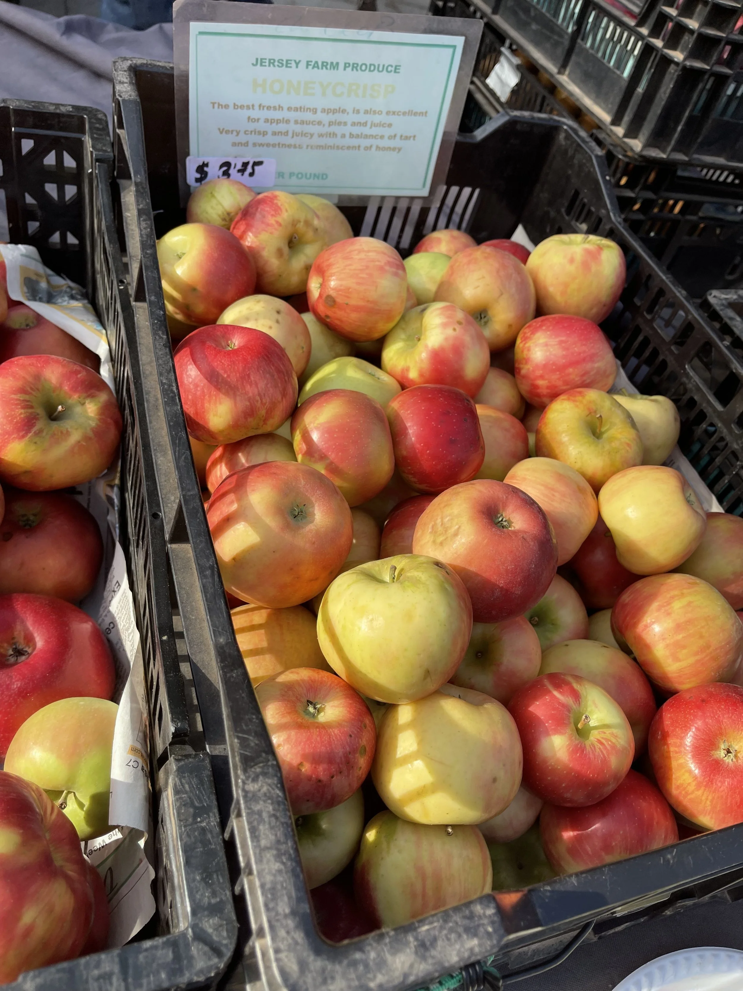 APPLES_ colorful IMG_1498.jpeg