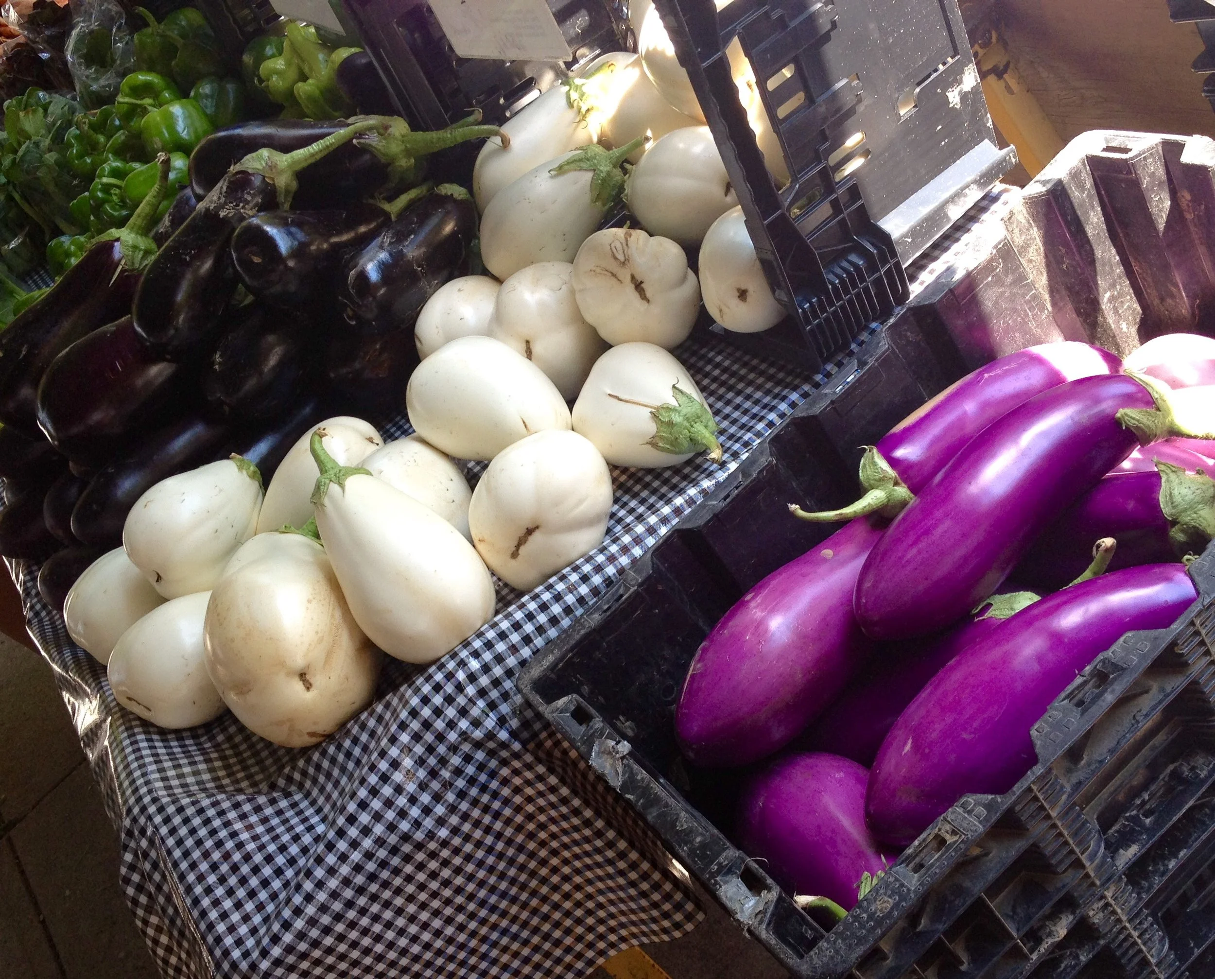 Purple white and black EGGPLANT IMG_0789.jpg