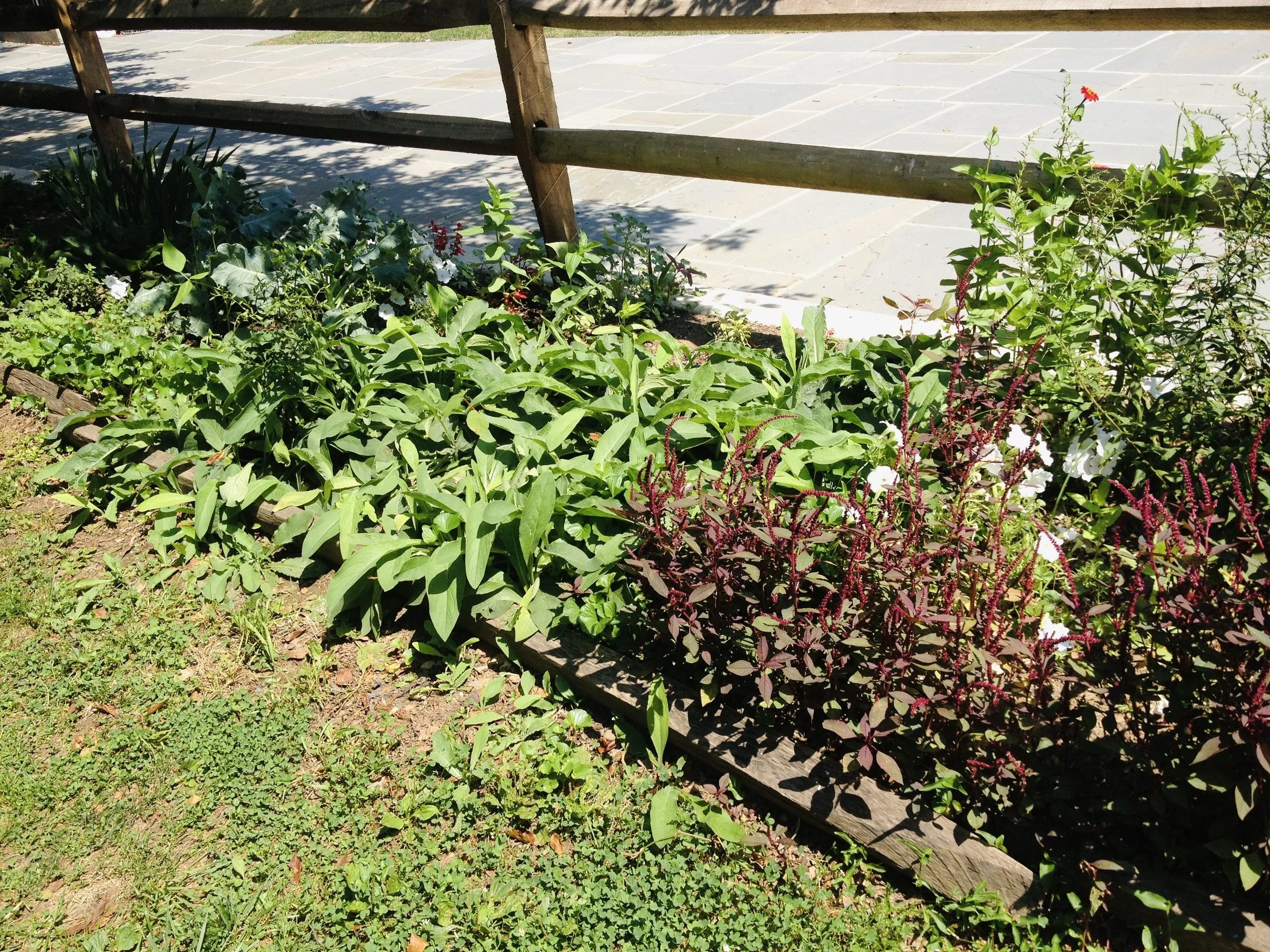 OSH GARDEN GROUNDS IMG_0794.jpg