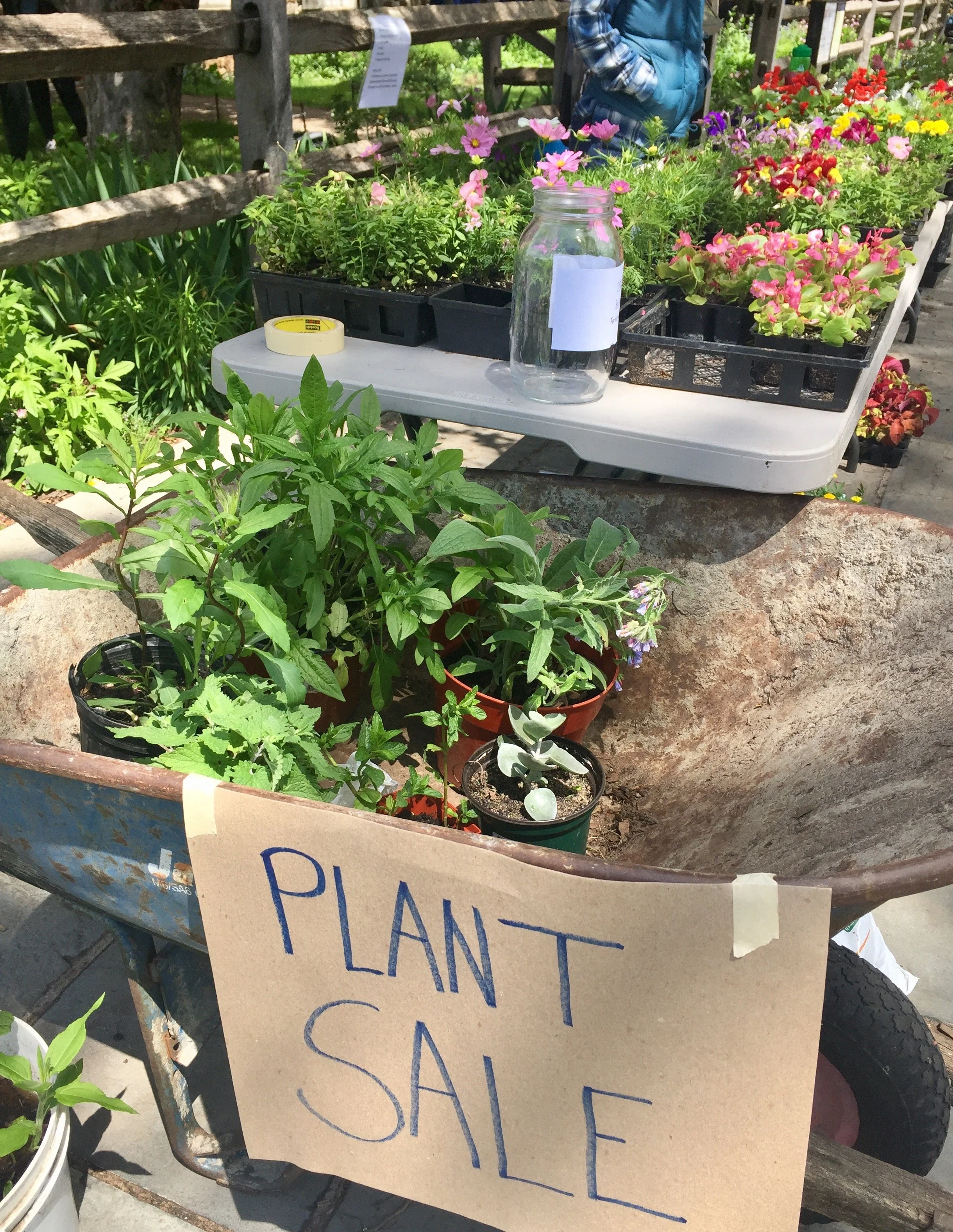OSH GARDENS Plant Sale IMG_9681.jpg