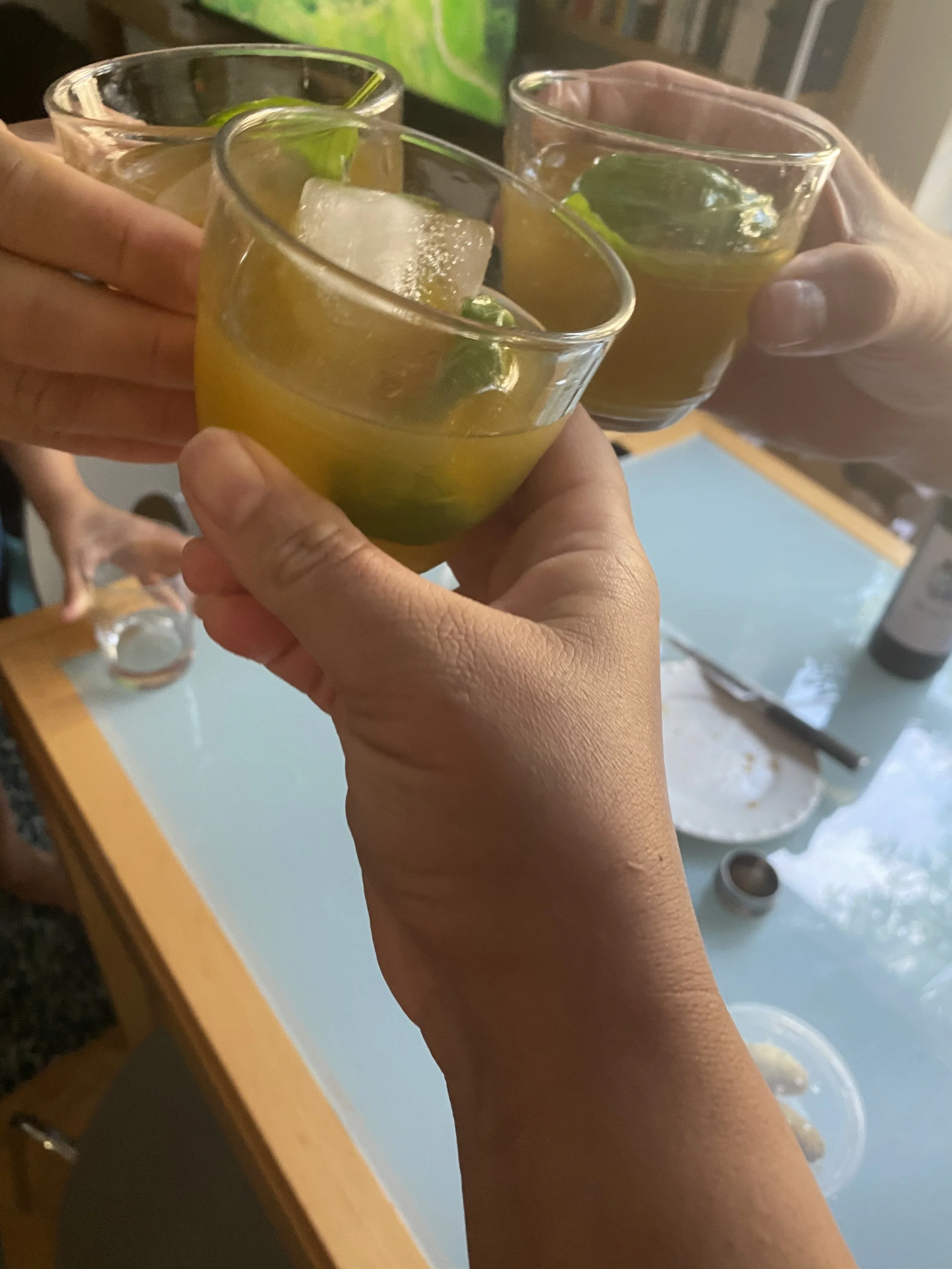 URBAN OASIS_COCKTAIL CHEERS A TOAST TO rooftop GARDENING in 2020 IMG_0632.jpeg