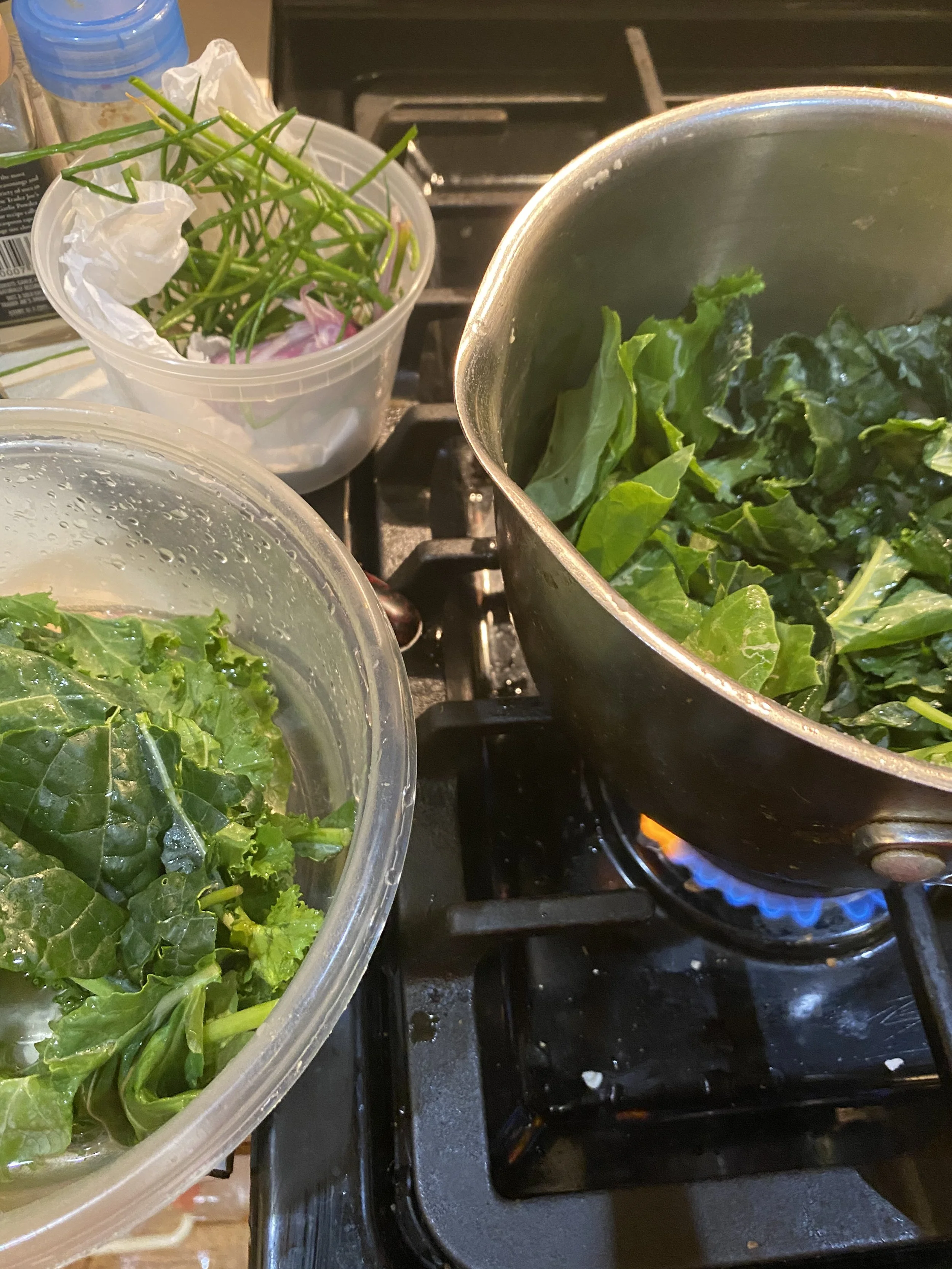 URBAN OASIS_rooftop GARDENING in 2020 _0018.jpeg