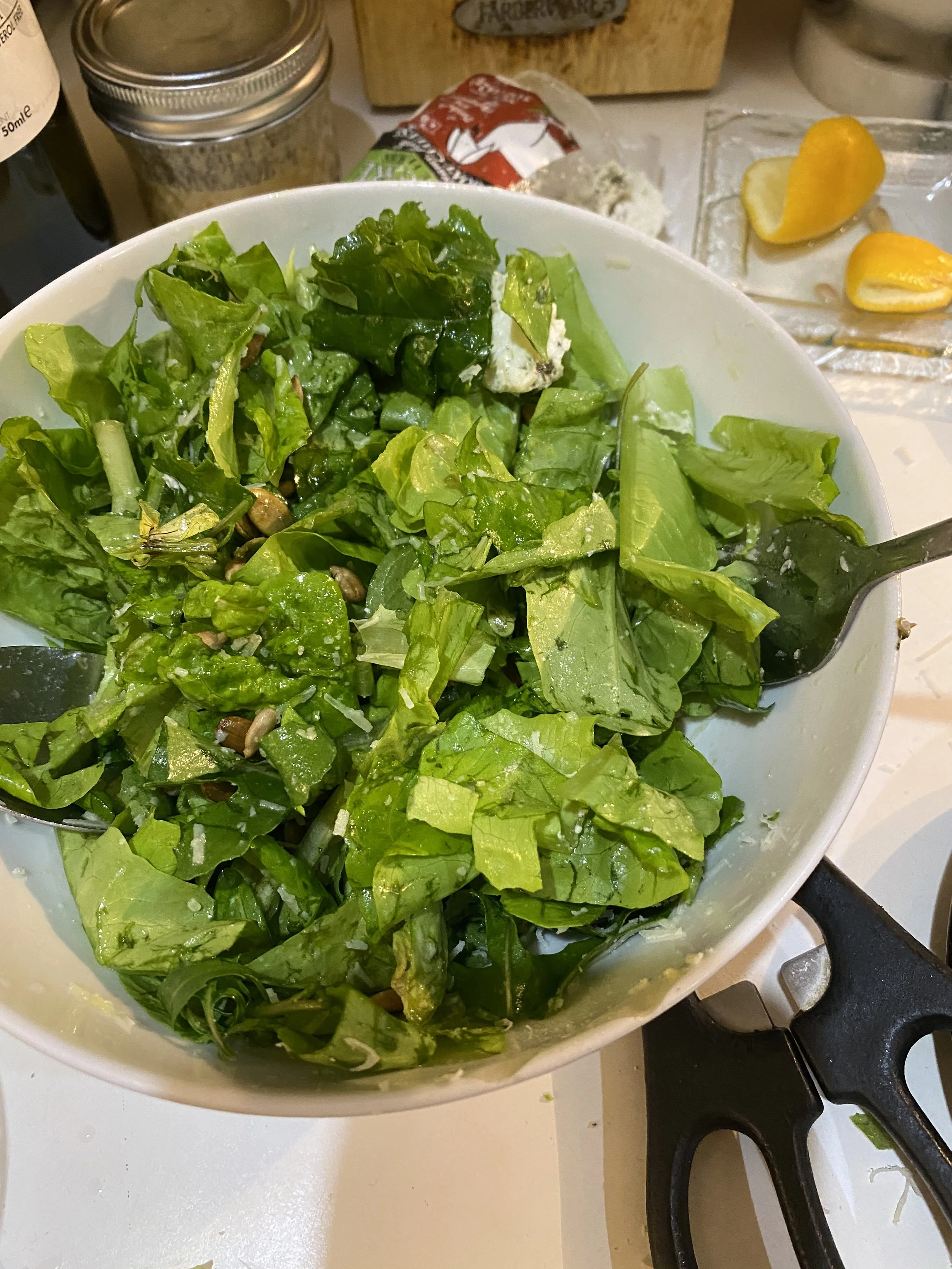 URBAN OASIS_rooftop GARDENING in 2020 _8656.jpeg