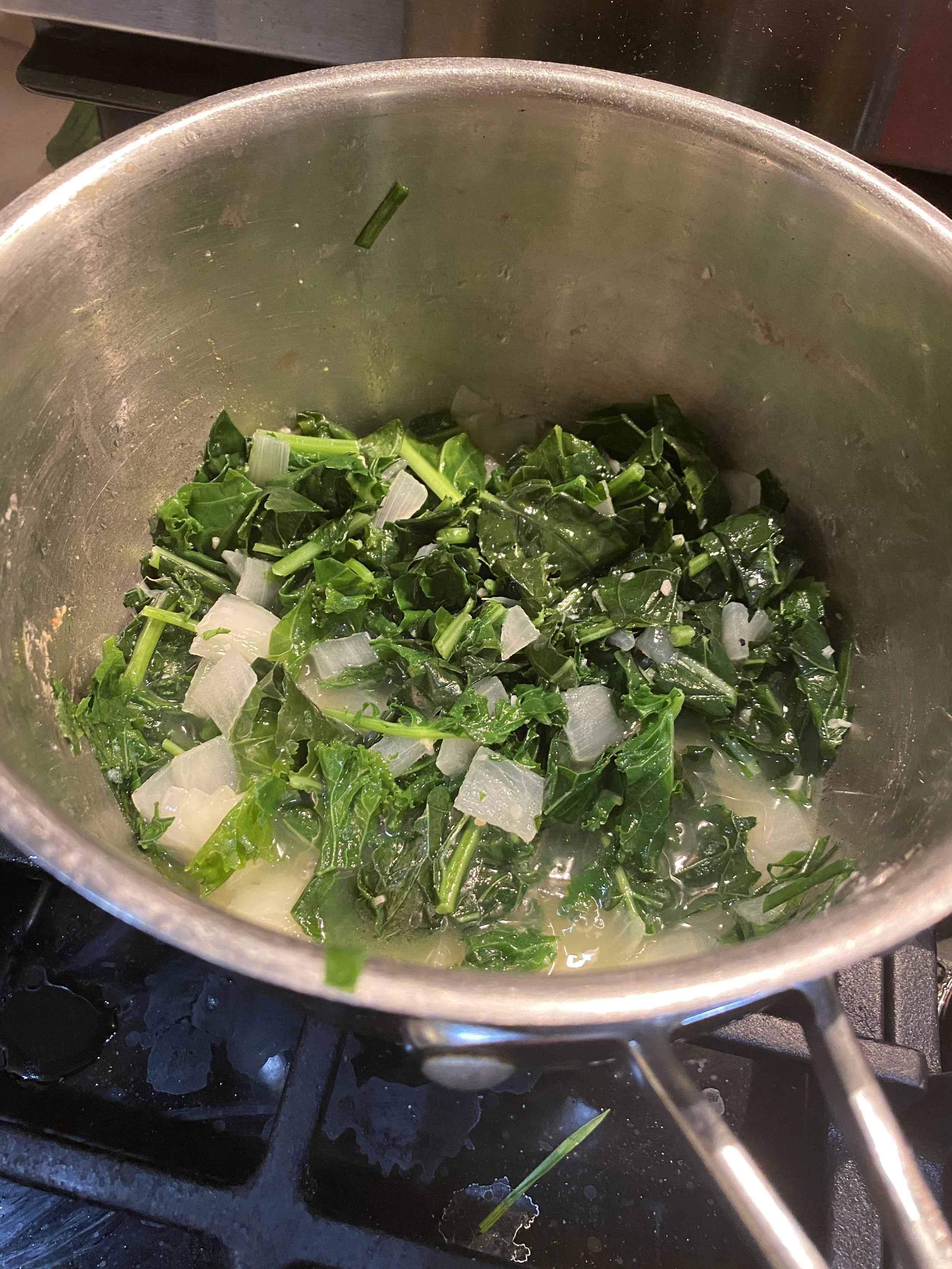 URBAN OASIS_rooftop GARDENING in 2020 _0020.jpeg