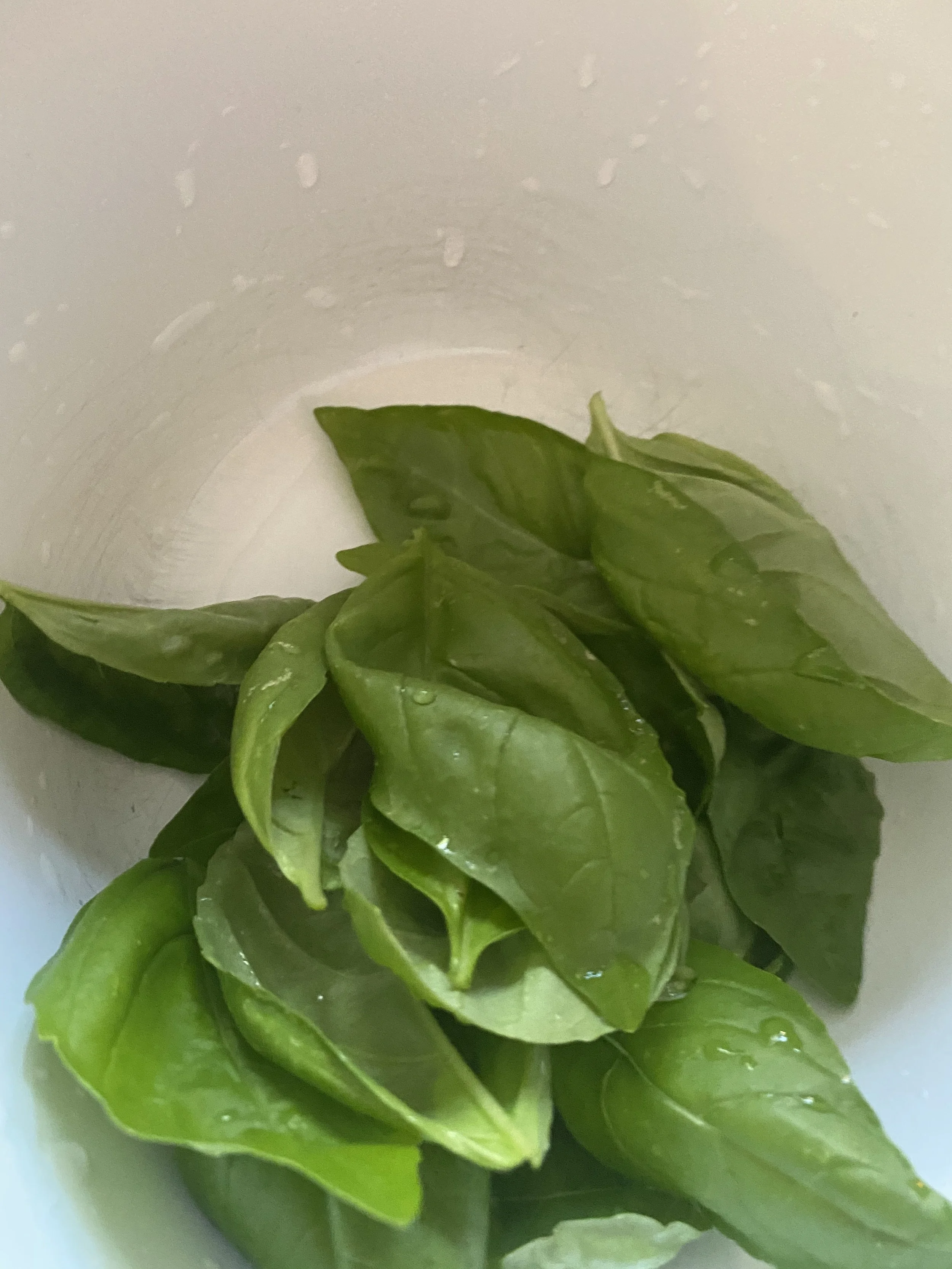 URBAN OASIS_rooftop GARDENING in 2020 _0628.jpeg