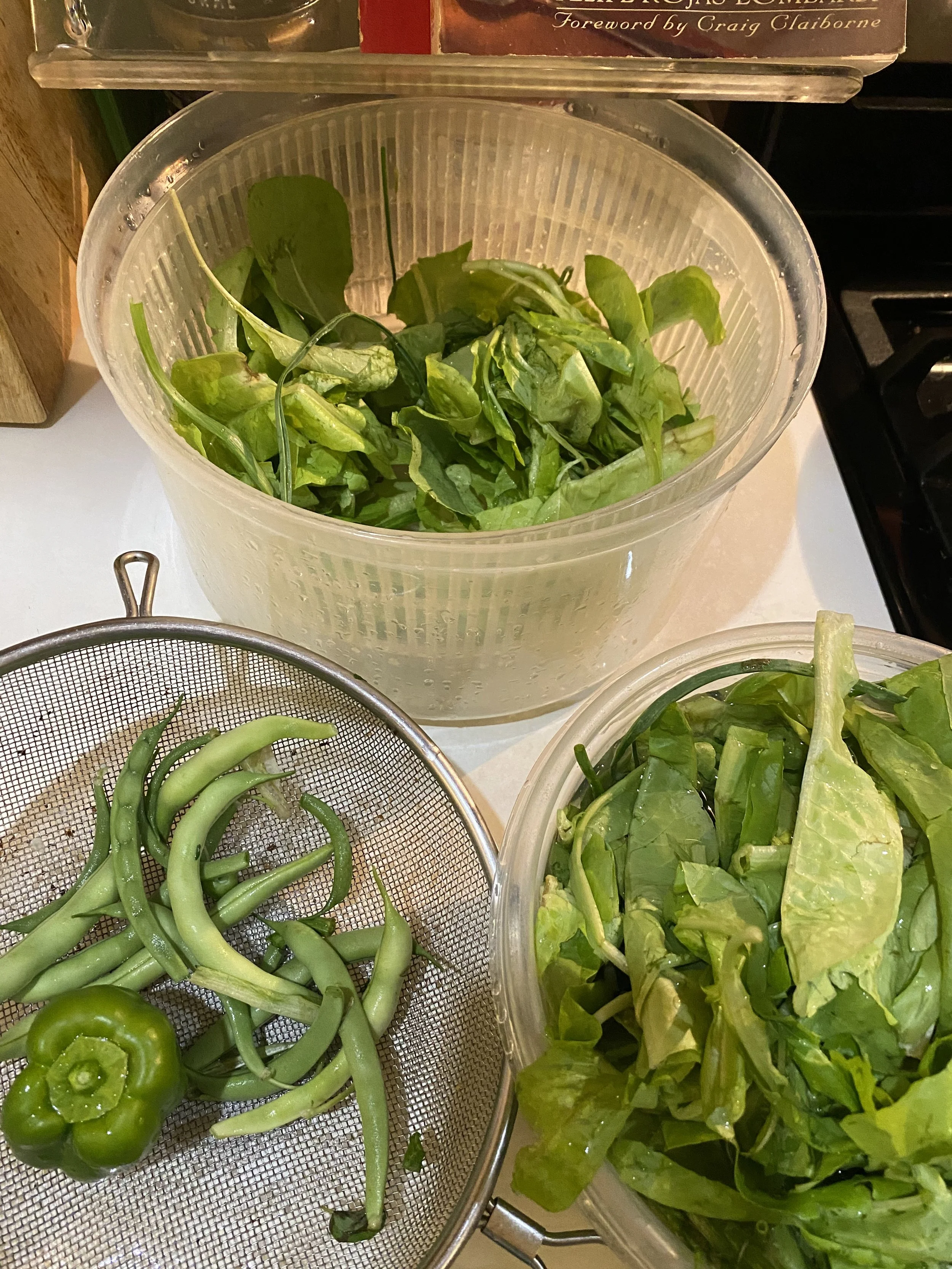 URBAN OASIS_rooftop GARDENING in 2020 IMG_9879.jpeg