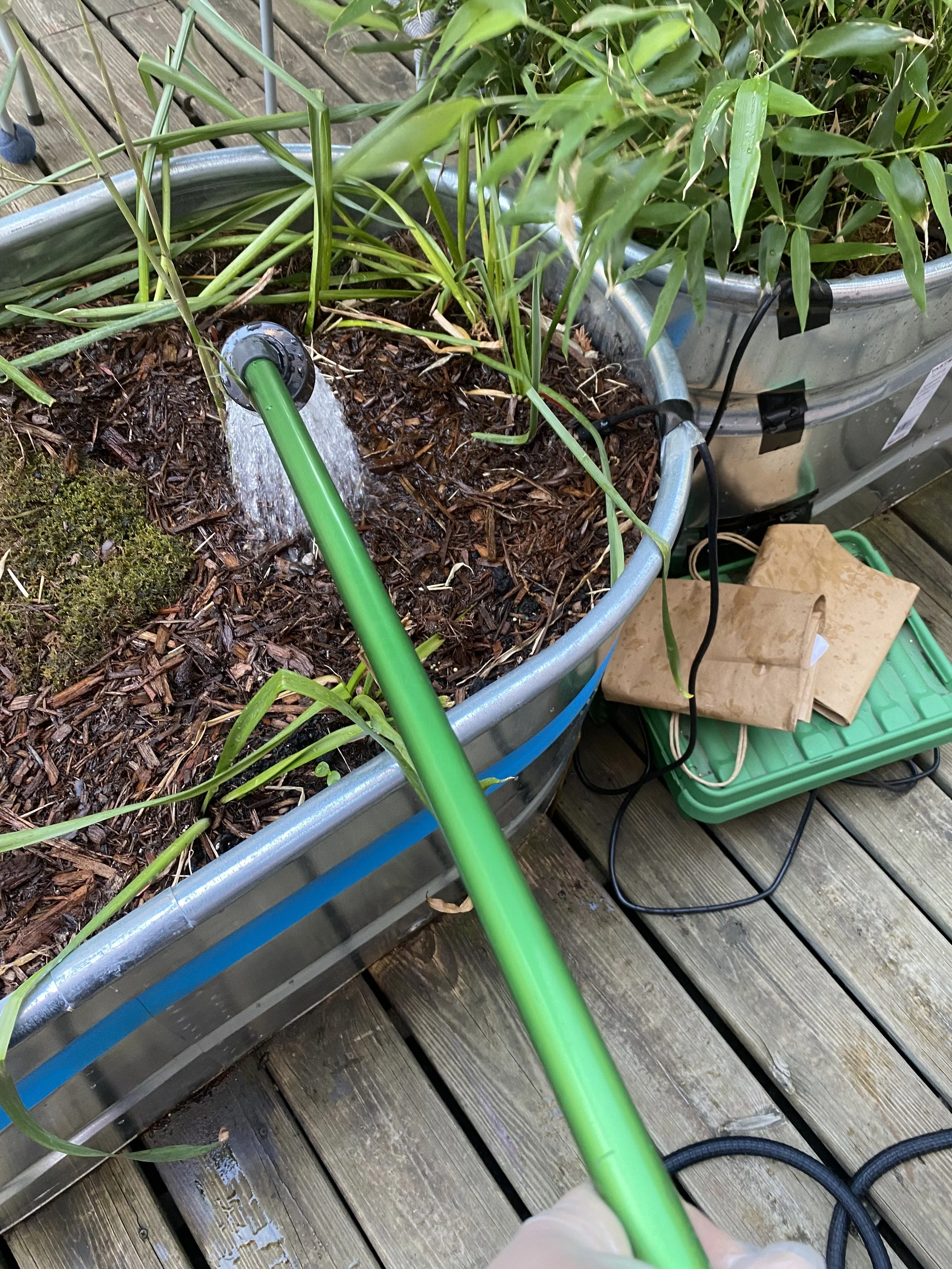 URBAN OASIS_rooftop GARDENING in 2020 IMG_8220.jpeg