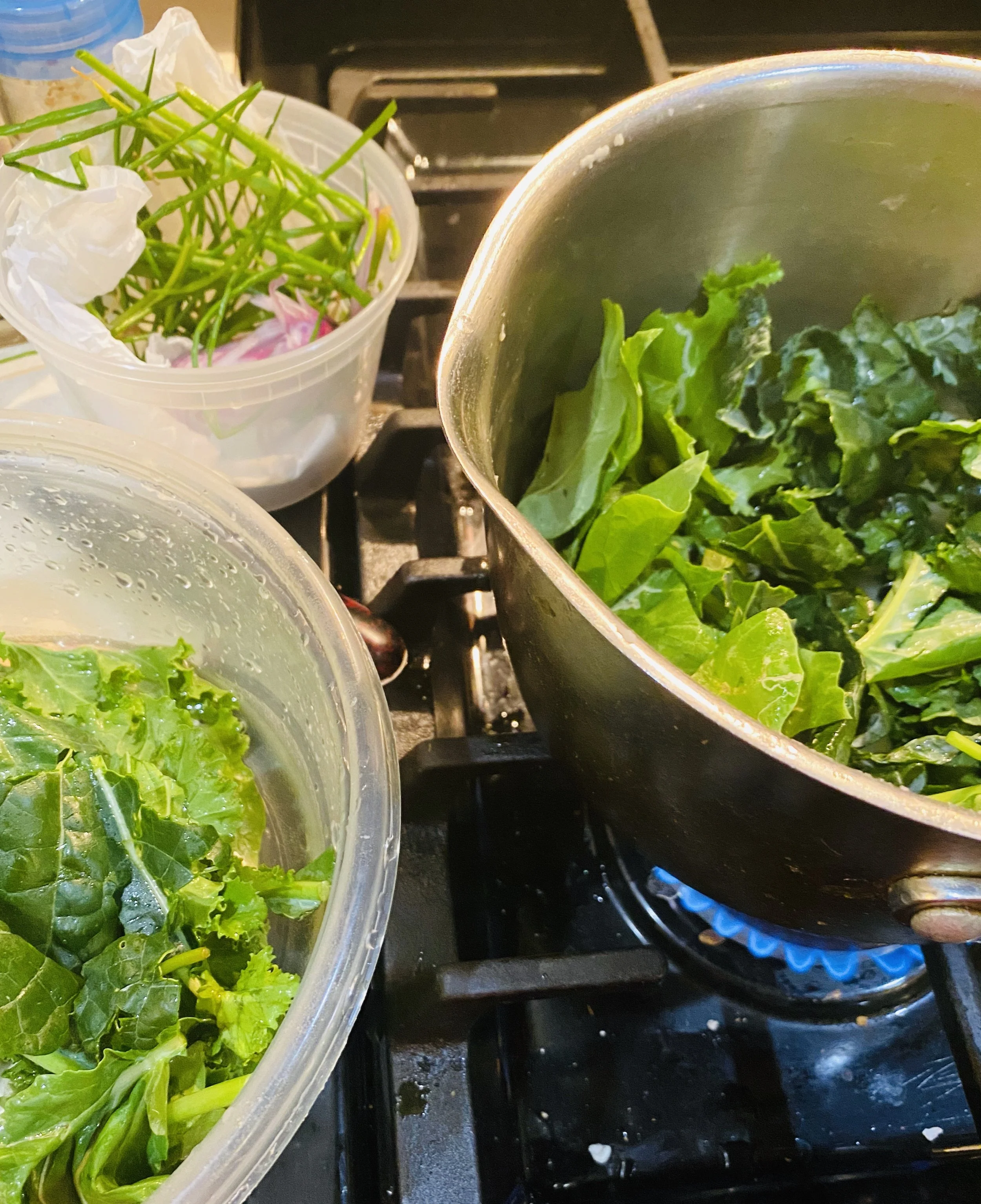 URBAN OASIS_rooftop GARDENING in 2020 _0017.jpeg