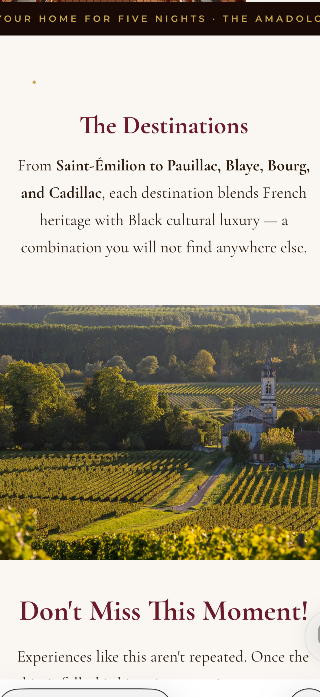 Gai%27s+French+Cruise+%26+Paris+Trip_newsletter+image+empty+vineyard+IMG_7863.png