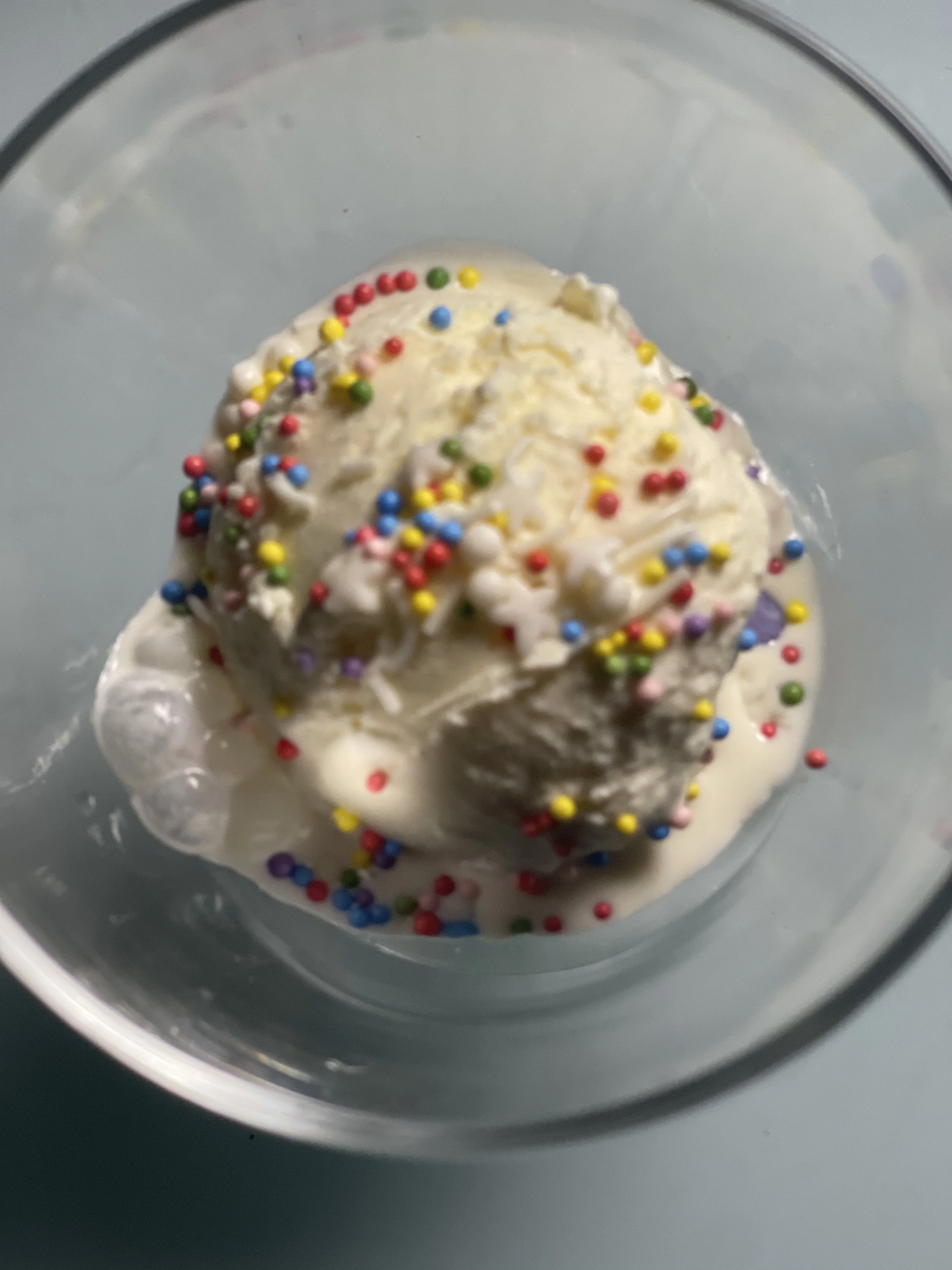 VANILLA ICECREAM_maybe with sprinkles_MG_3071.jpeg