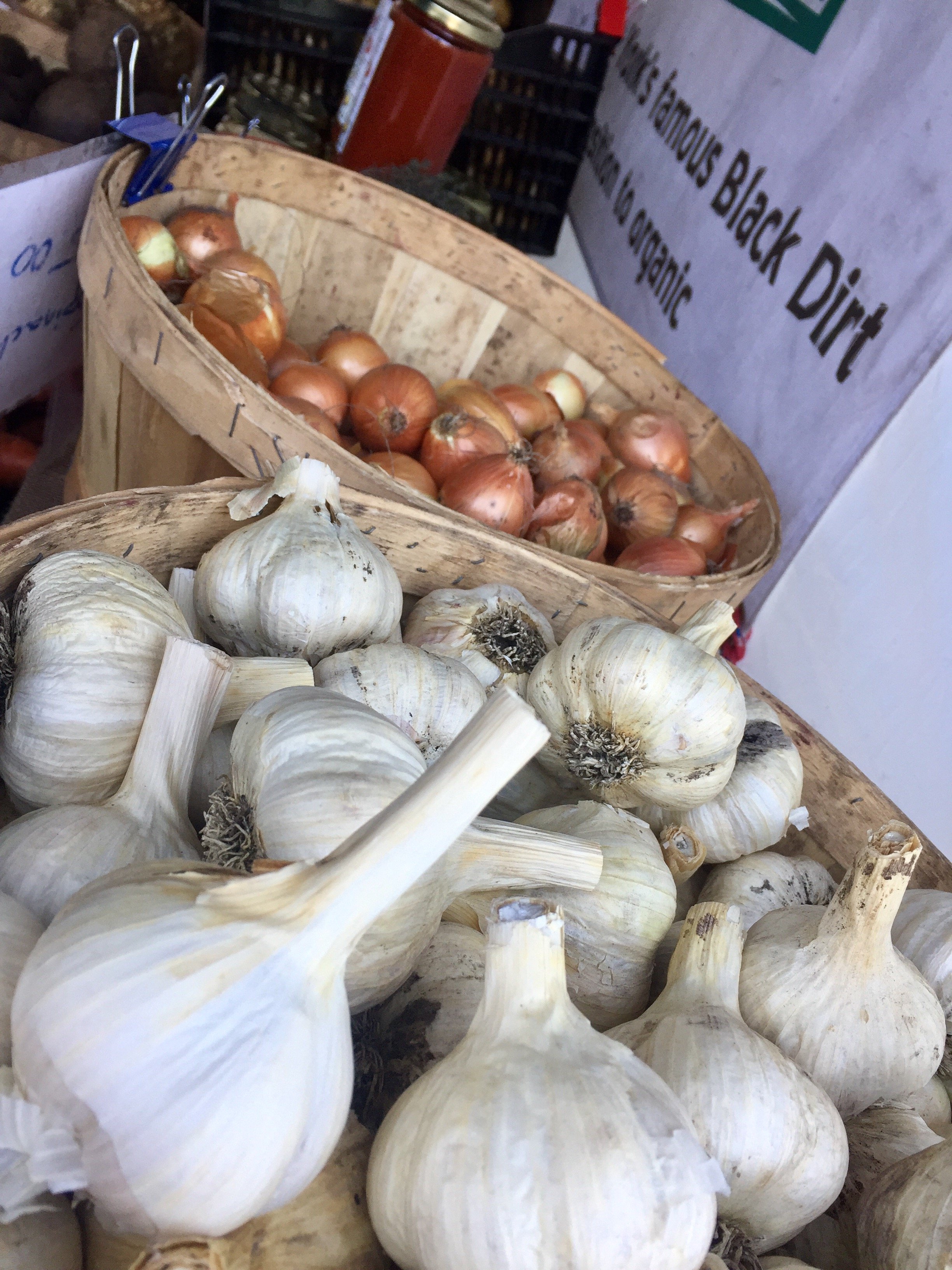 Barrels of garlic cloves for sale 