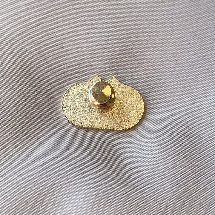 BASIC PIN 2 Small.jpg