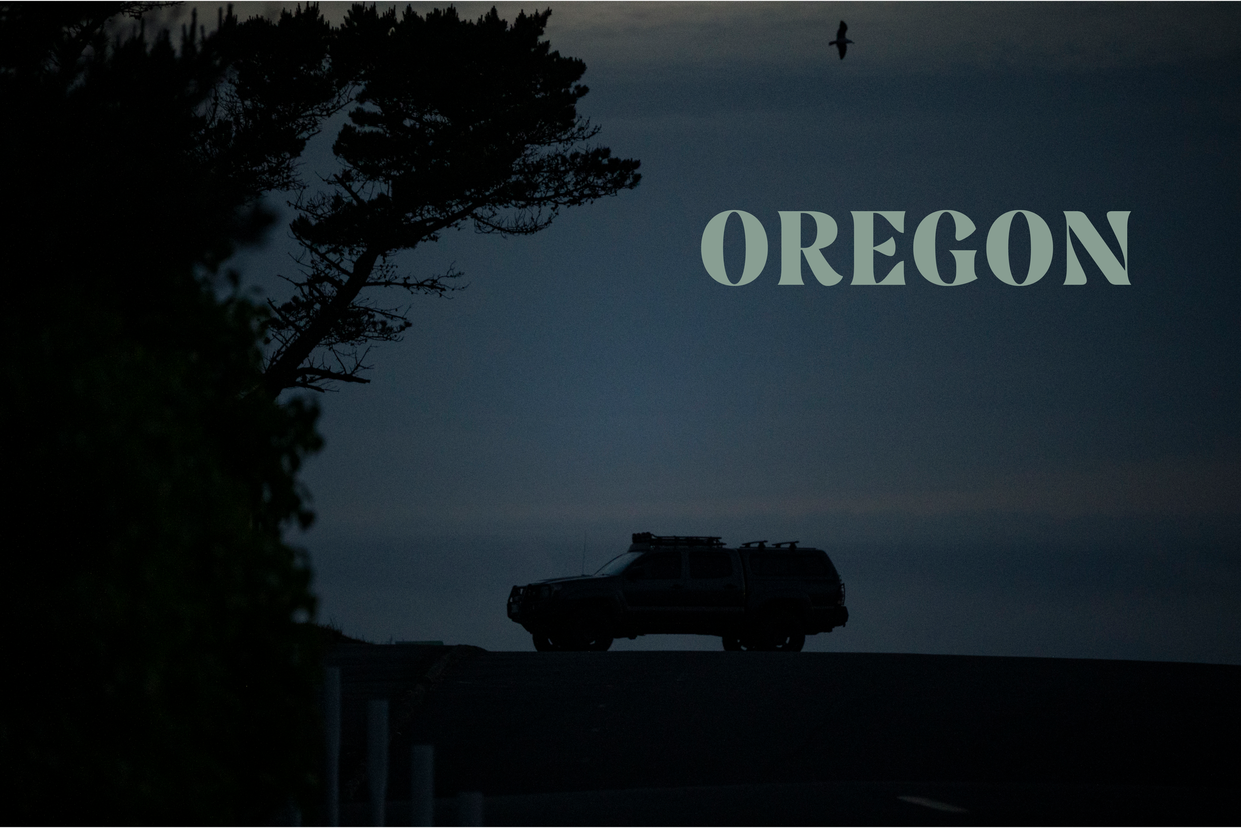 A Surfers Atlas12.png