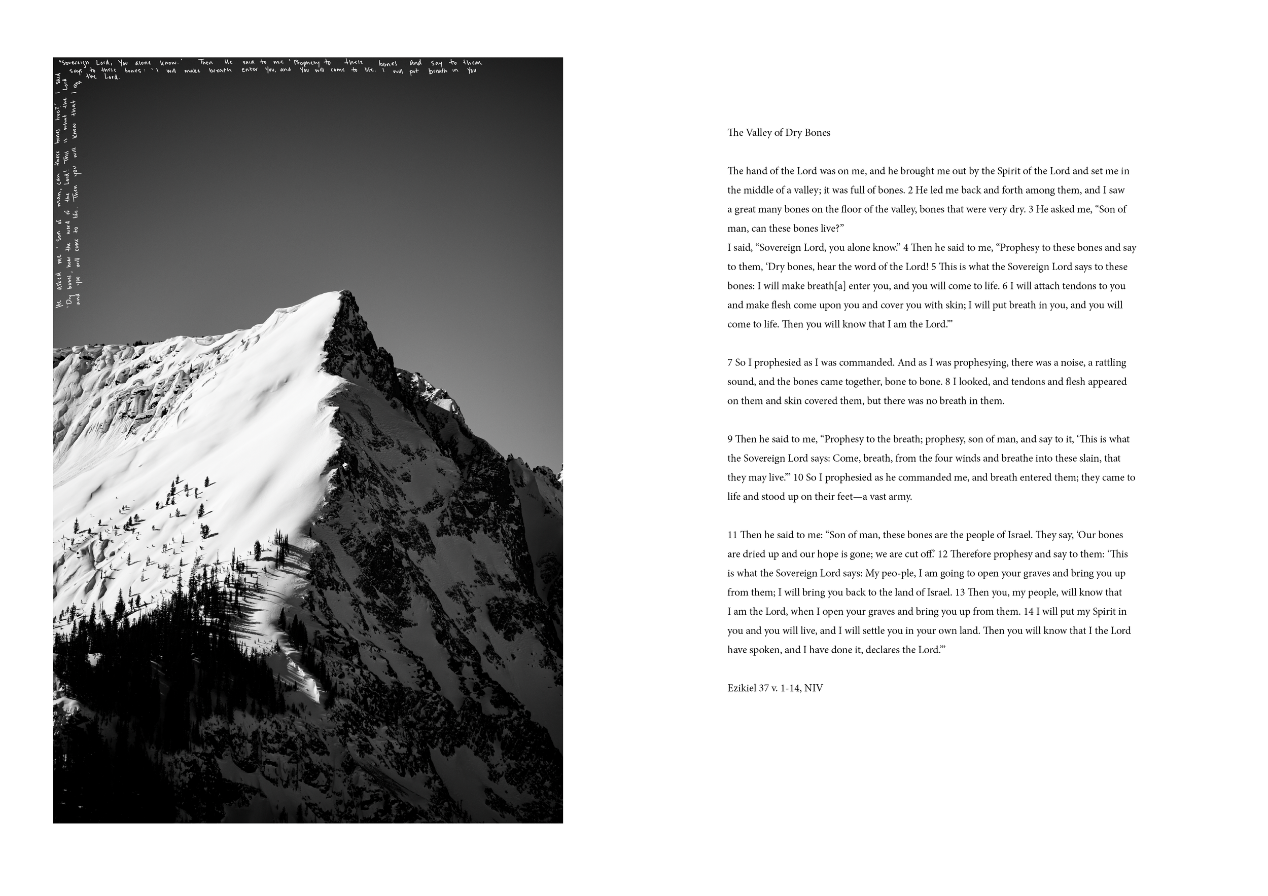 Frosty Bones Book12.png