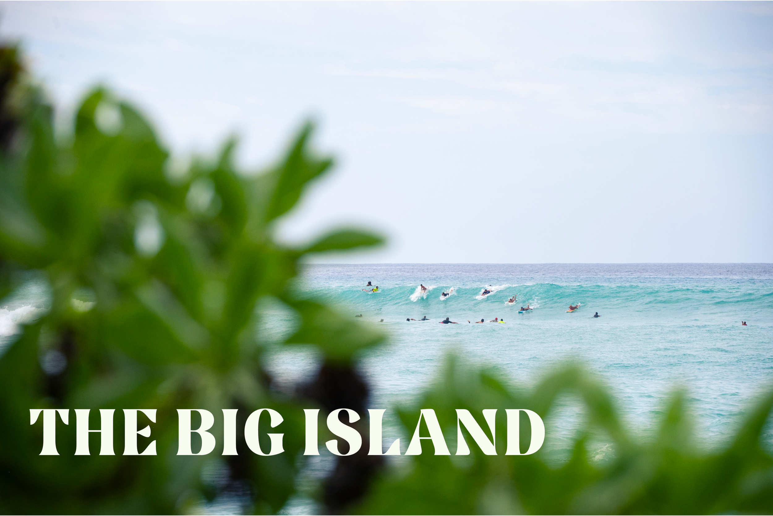 A Surfers Atlas23.png