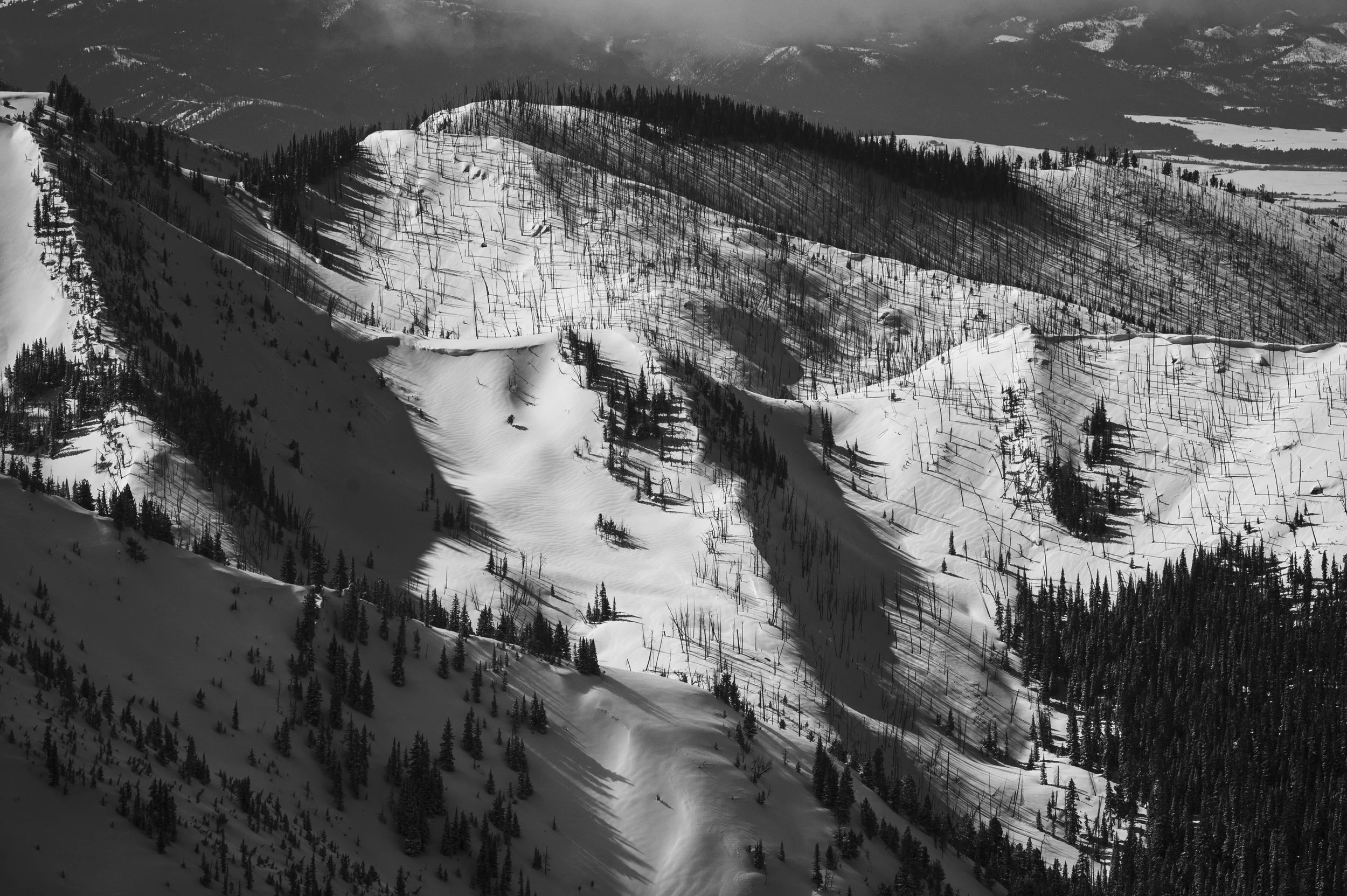 Snow-covered mountain landscape with sparse trees, some damaged or burned, and shadows cast across the snow.