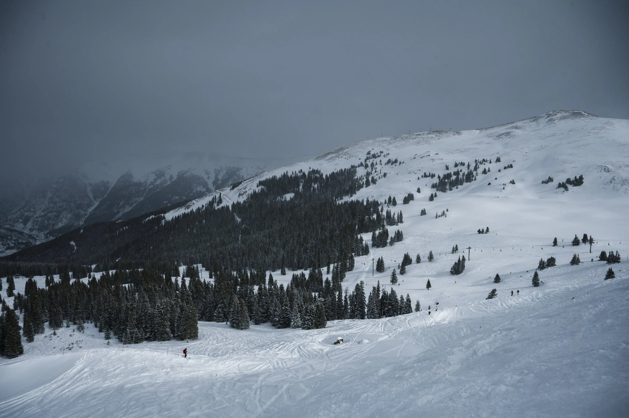 Snow-covered mountain landscape with pine trees, ski tracks, and a cloudy sky.