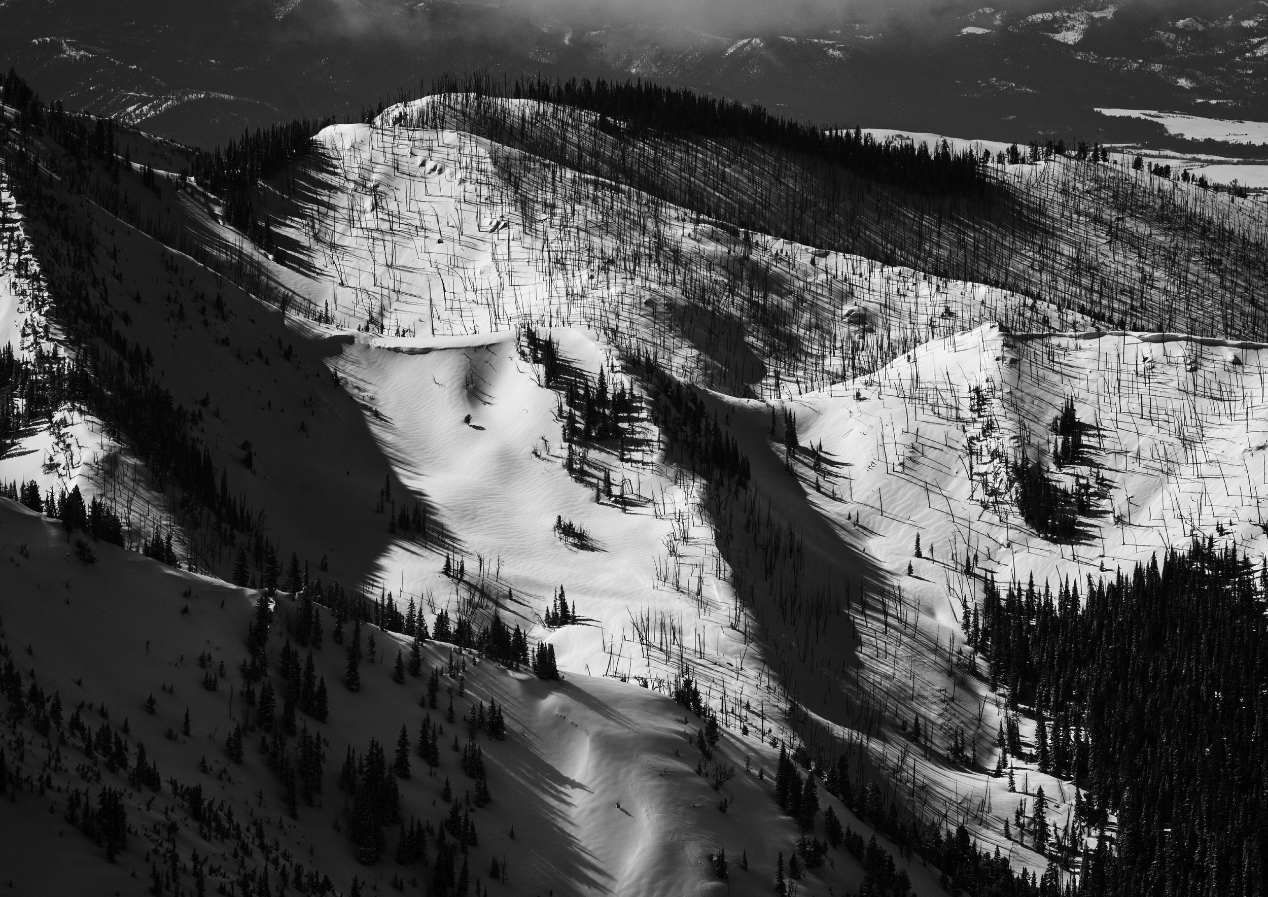 Frosty Bones Book10.png